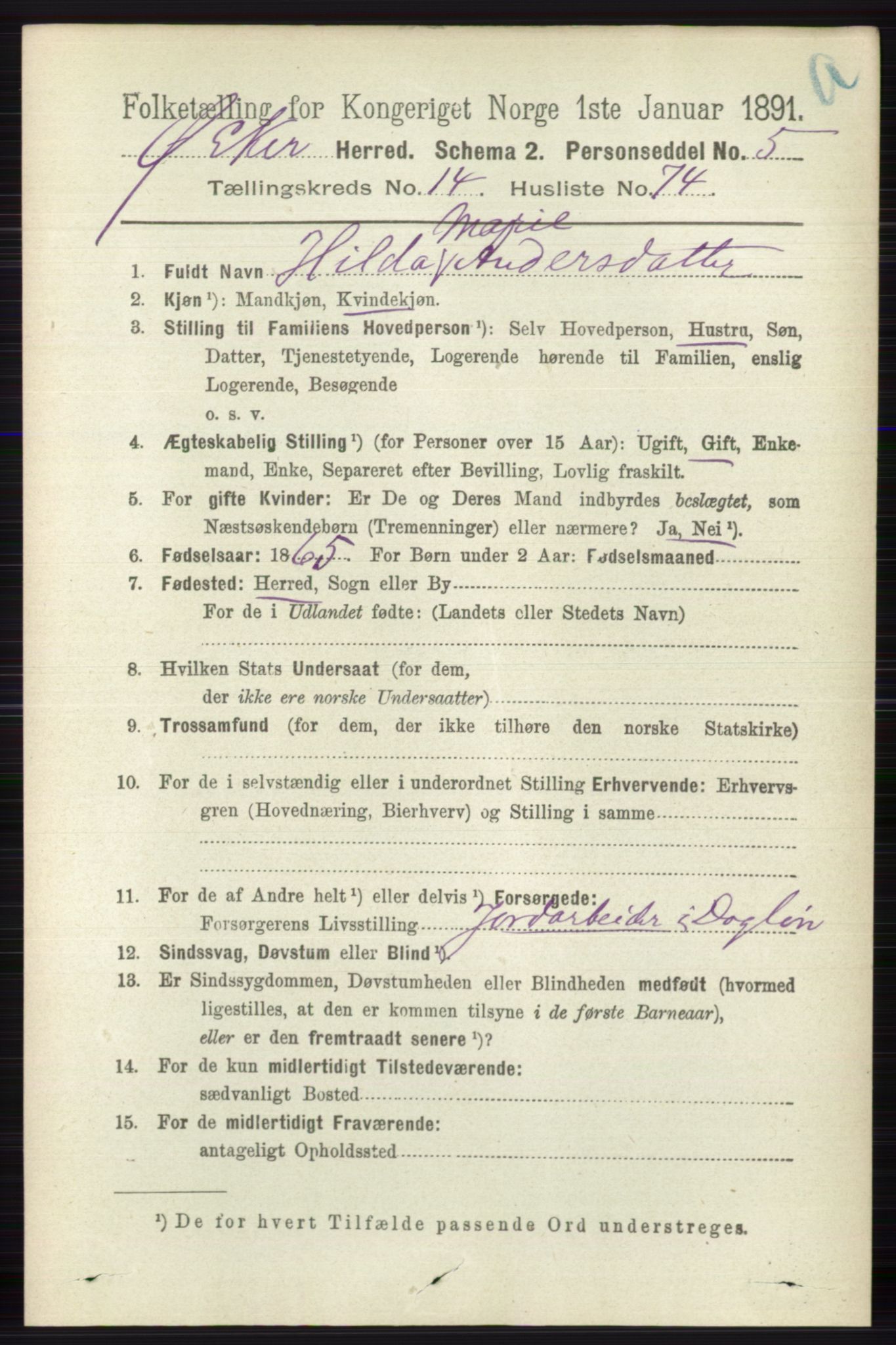 RA, 1891 census for 0624 Øvre Eiker, 1891, p. 6916