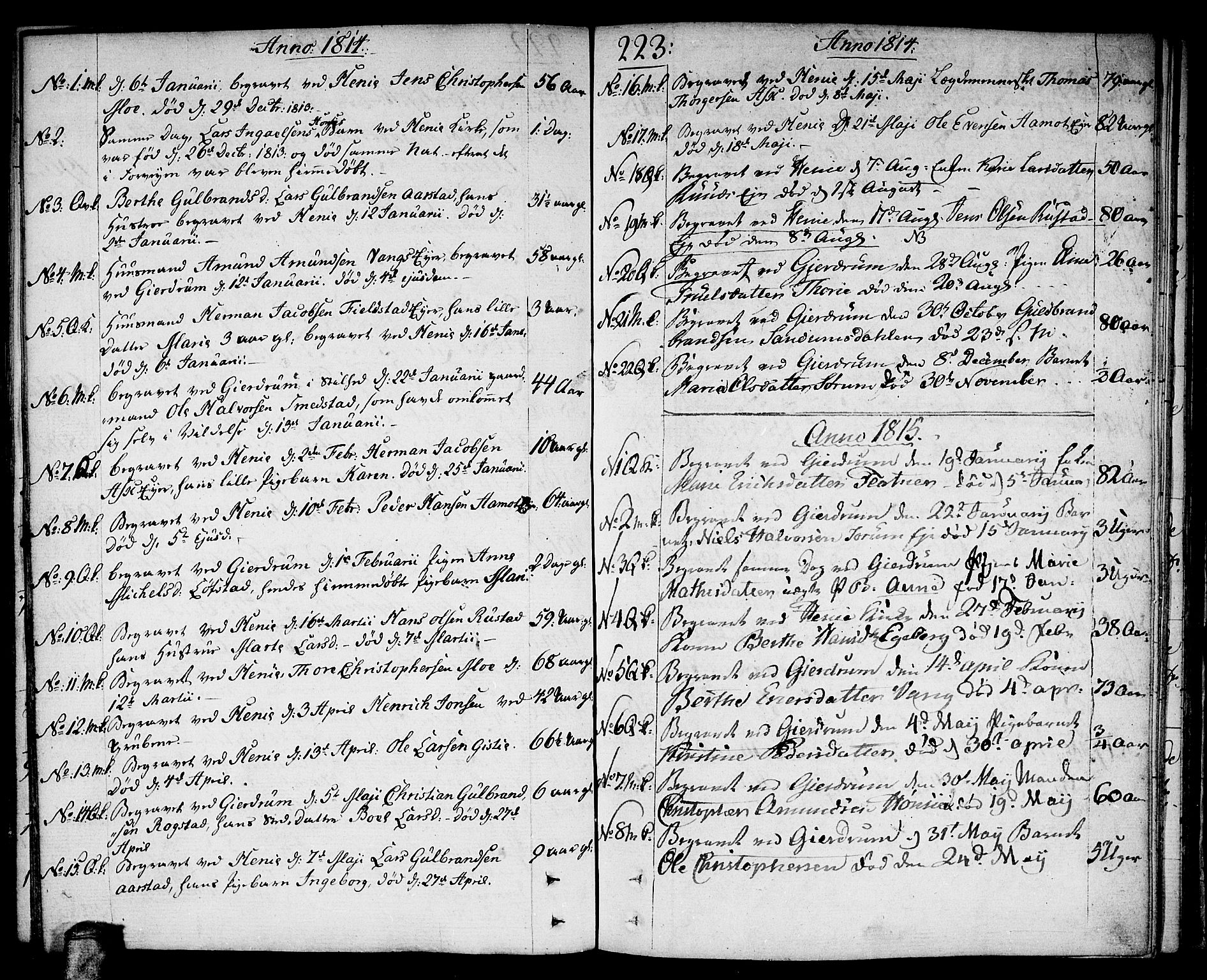 Gjerdrum prestekontor Kirkebøker, AV/SAO-A-10412b/F/Fa/L0003: Parish register (official) no. I 3, 1798-1815, p. 223