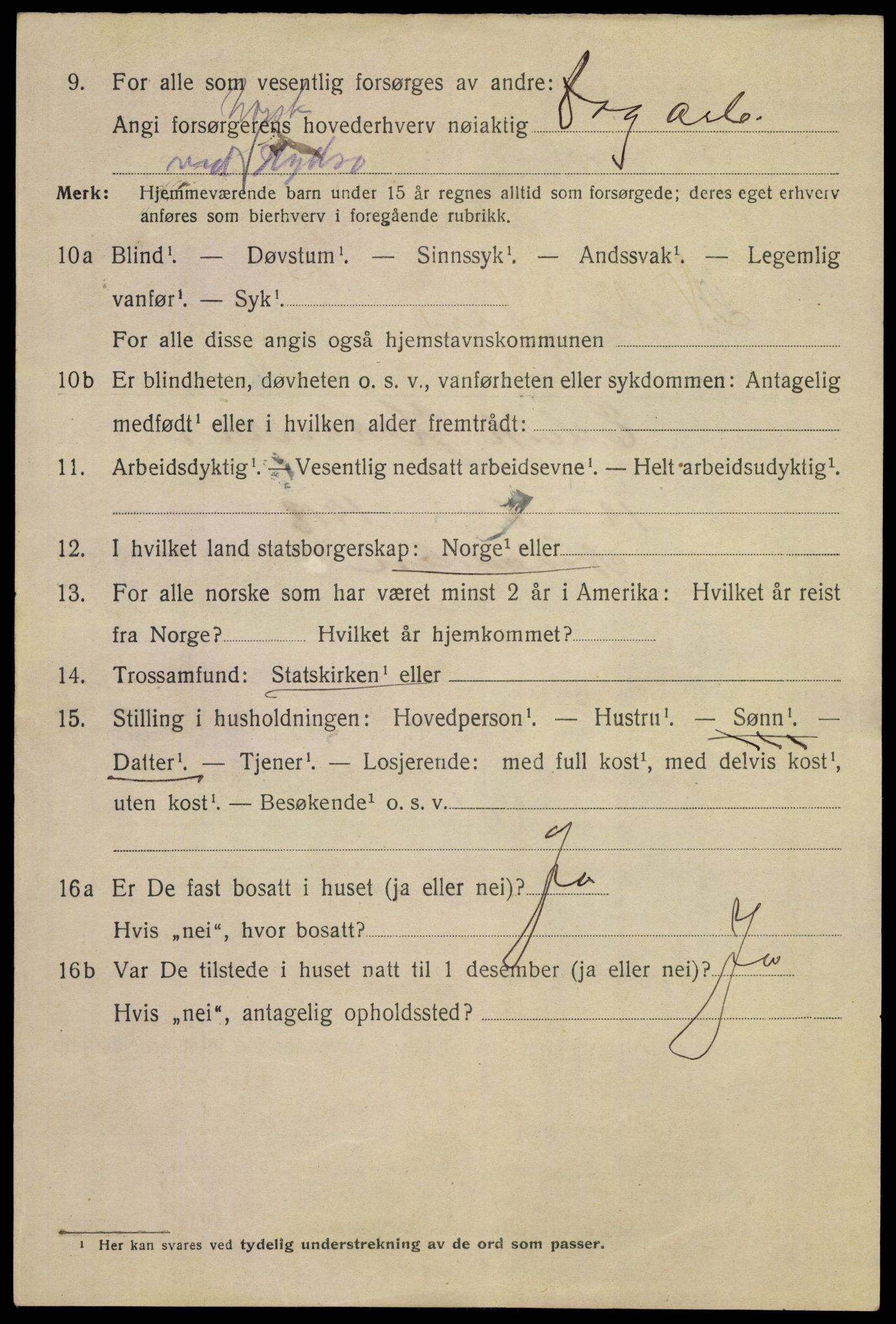 SAKO, 1920 census for Notodden, 1920, p. 6559