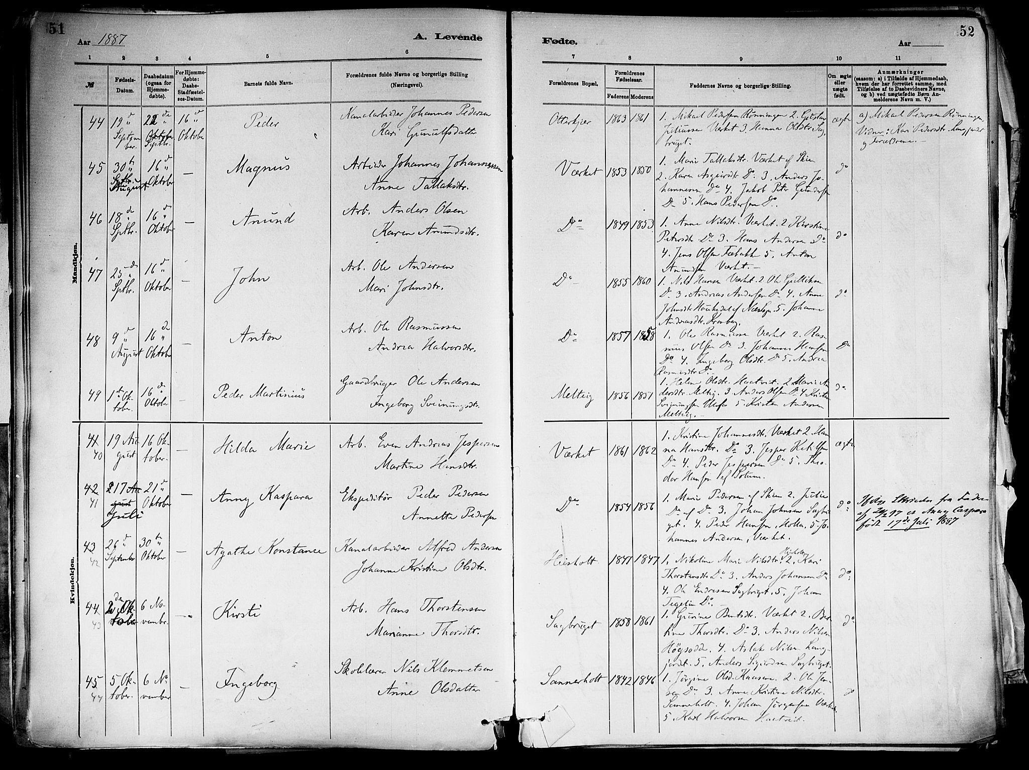 Holla kirkebøker, SAKO/A-272/F/Fa/L0008: Parish register (official) no. 8, 1882-1897, p. 51
