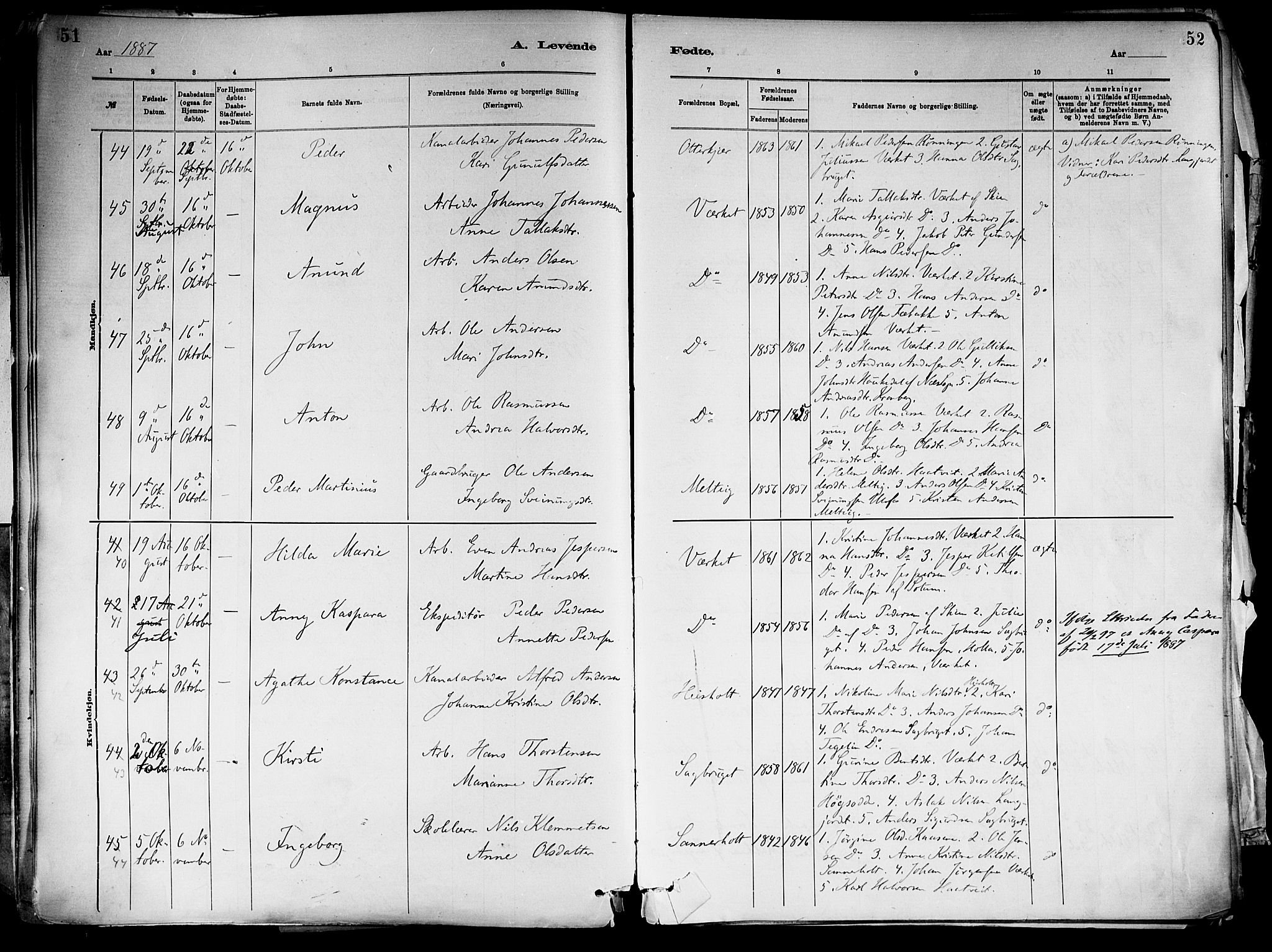 Holla kirkebøker, AV/SAKO-A-272/F/Fa/L0008: Parish register (official) no. 8, 1882-1897, p. 51