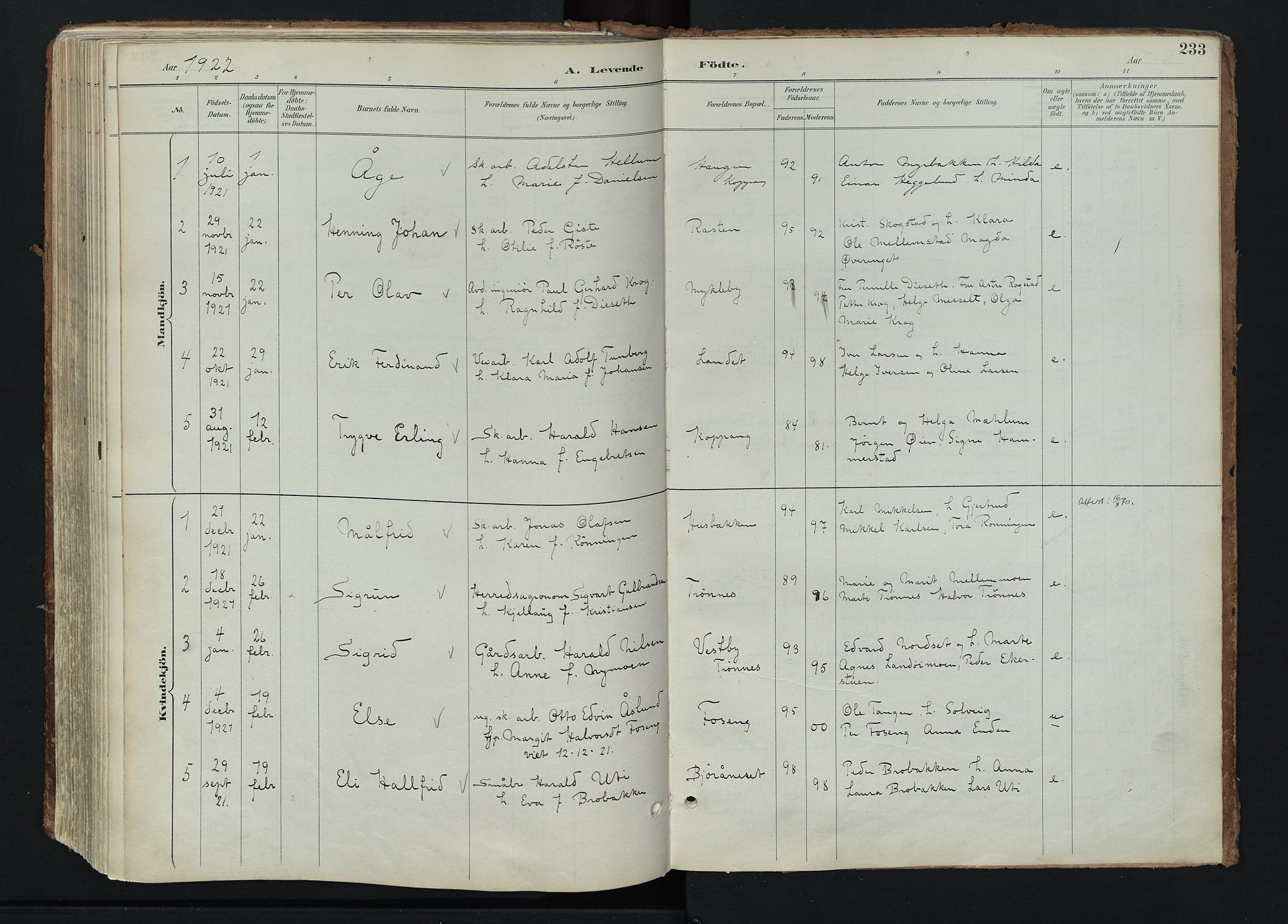 Stor-Elvdal prestekontor, AV/SAH-PREST-052/H/Ha/Haa/L0004: Parish register (official) no. 4, 1890-1922, p. 233