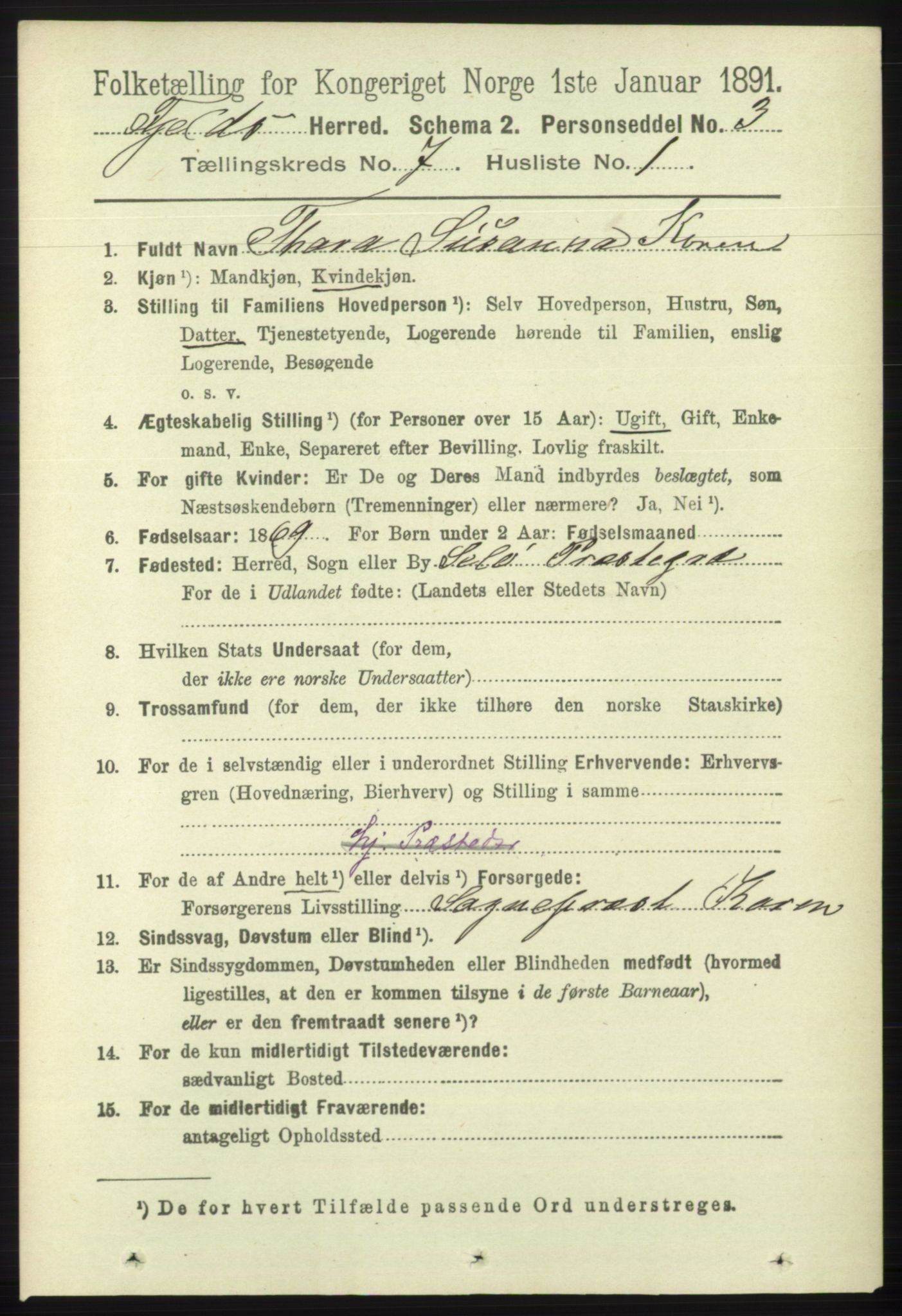 RA, 1891 census for 1246 Fjell, 1891, p. 3411