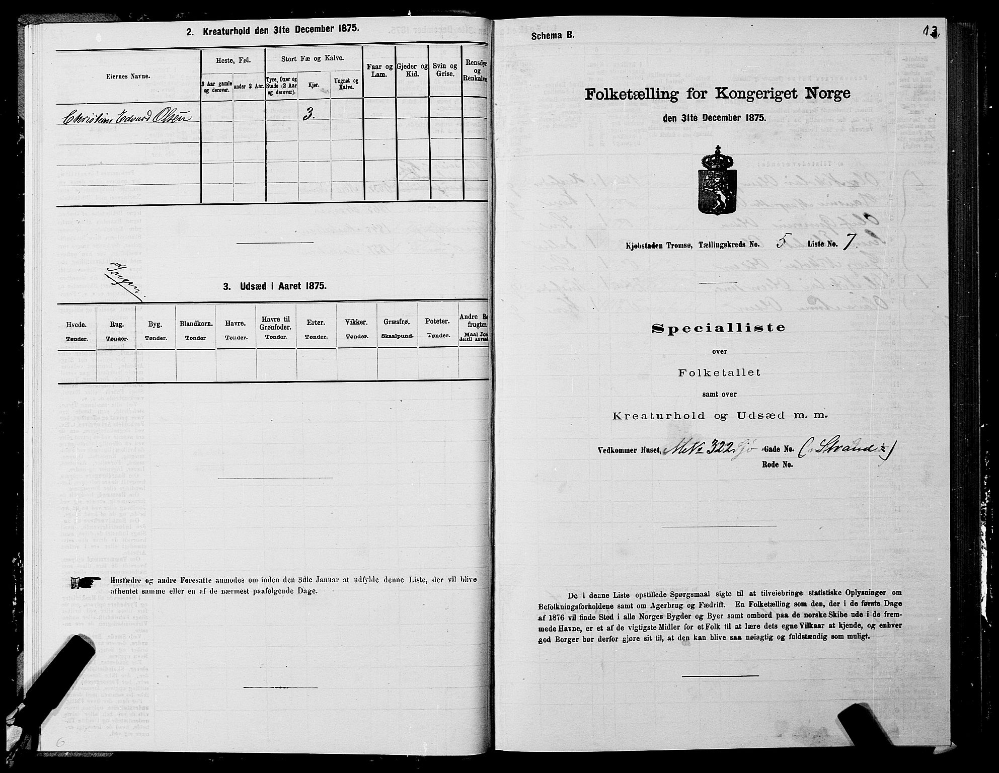 SATØ, 1875 census for 1902P Tromsø, 1875, p. 4013