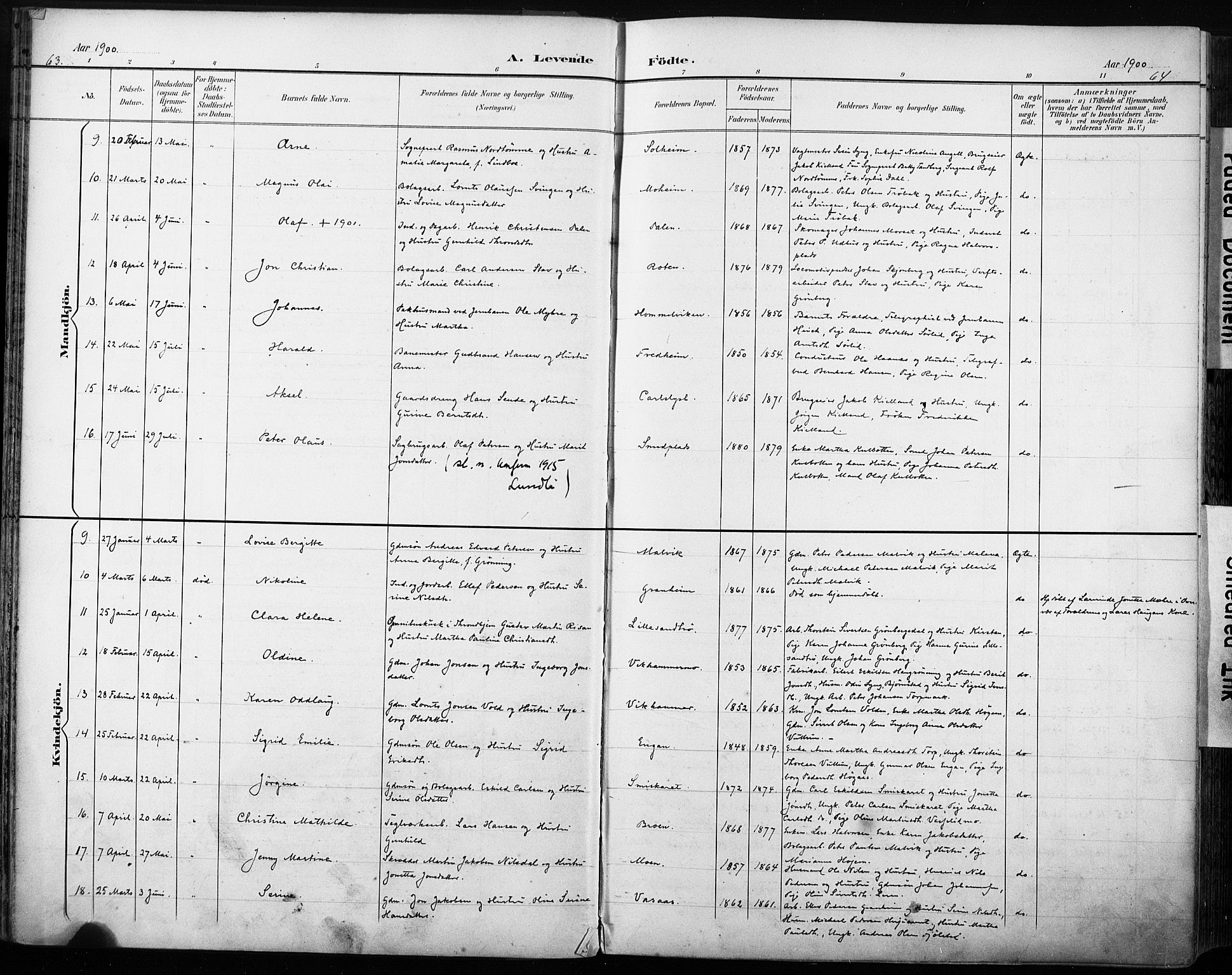 Ministerialprotokoller, klokkerbøker og fødselsregistre - Sør-Trøndelag, AV/SAT-A-1456/616/L0411: Parish register (official) no. 616A08, 1894-1906, p. 63-64