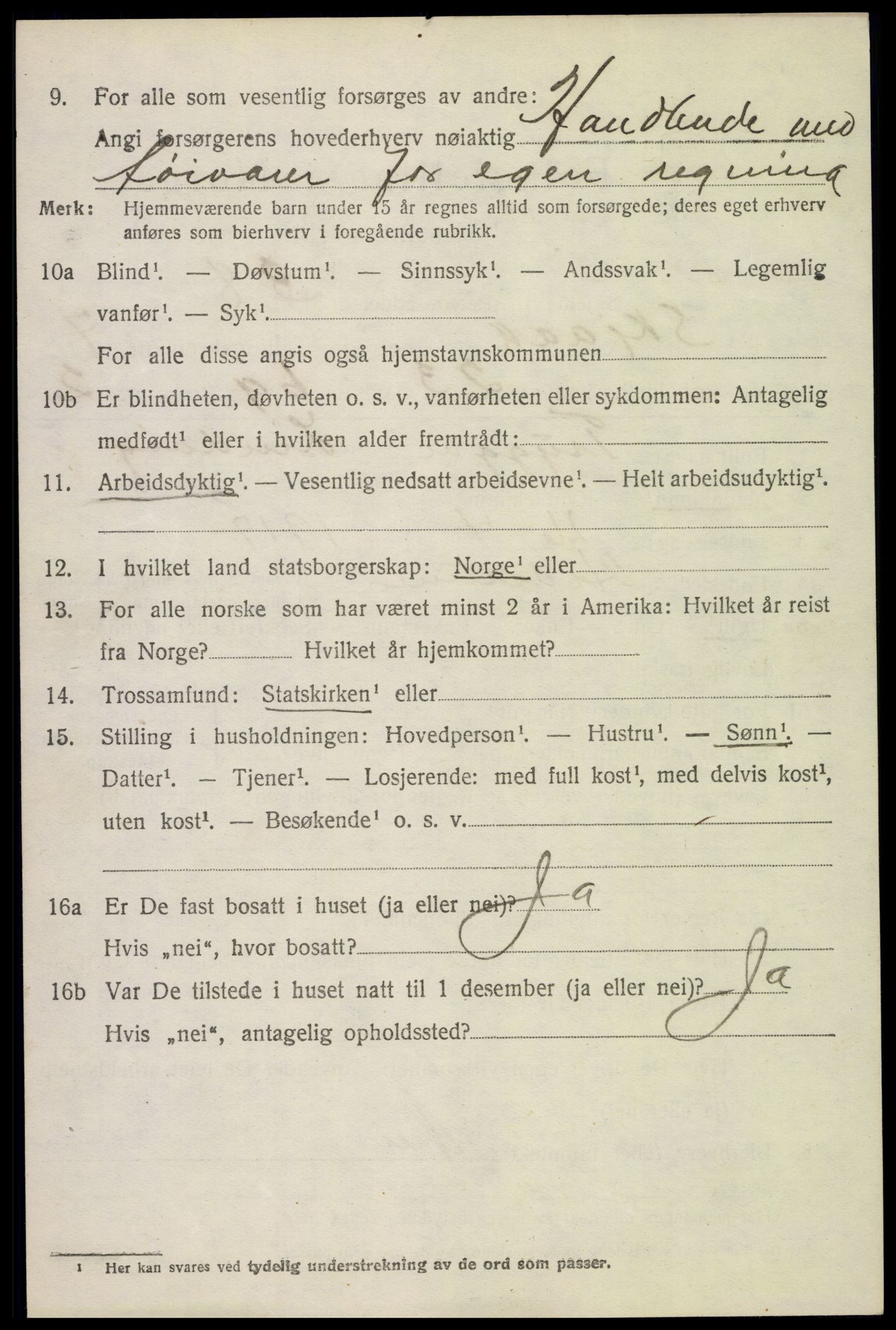 SAH, 1920 census for Skjåk, 1920, p. 3707