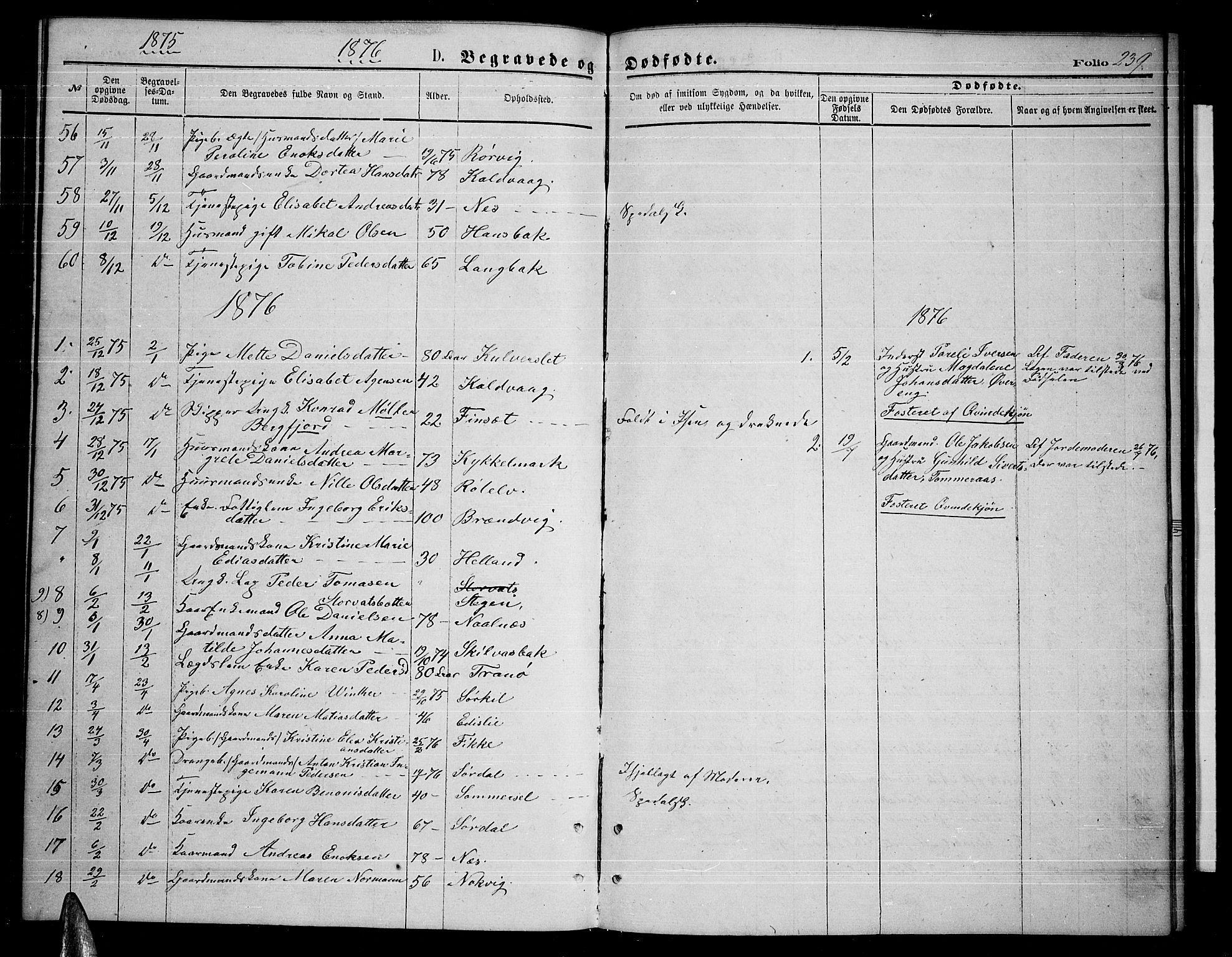 Ministerialprotokoller, klokkerbøker og fødselsregistre - Nordland, SAT/A-1459/859/L0858: Parish register (copy) no. 859C04, 1873-1886, p. 239