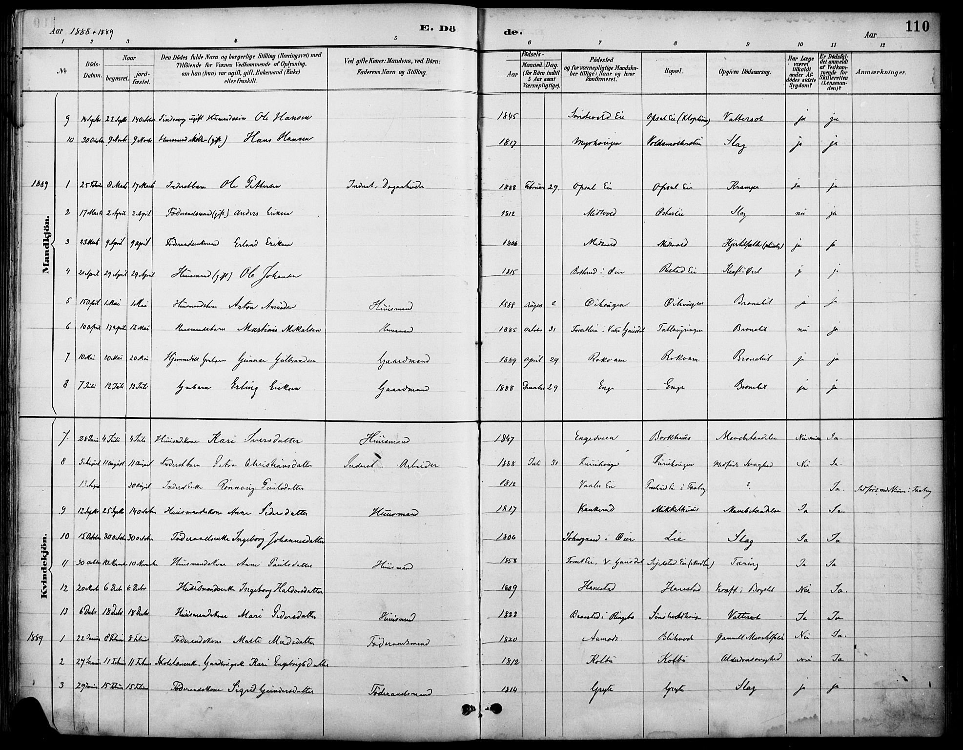 Østre Gausdal prestekontor, SAH/PREST-092/H/Ha/Haa/L0002: Parish register (official) no. 2, 1887-1897, p. 110