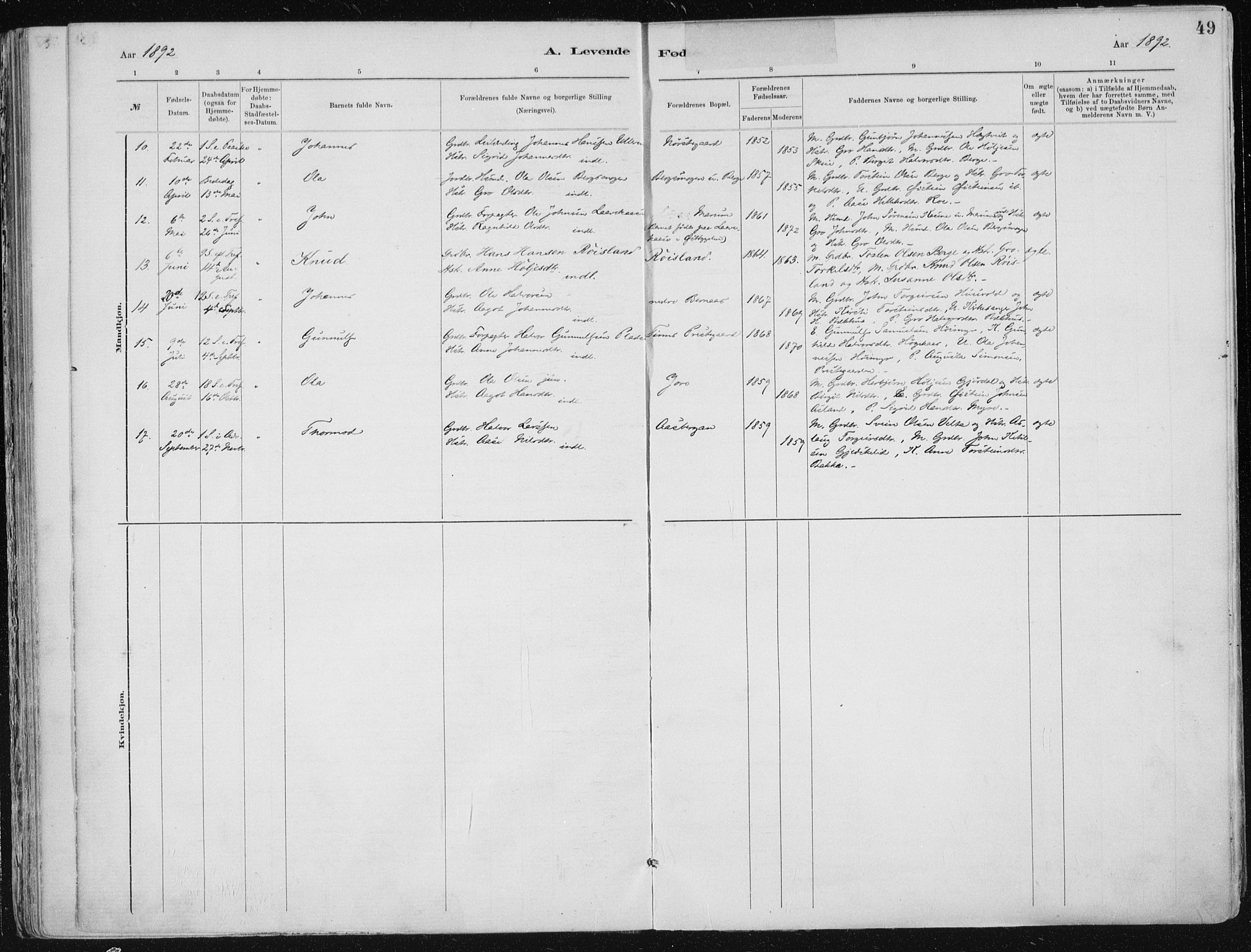 Tinn kirkebøker, AV/SAKO-A-308/F/Fa/L0007: Parish register (official) no. I 7, 1878-1922, p. 49