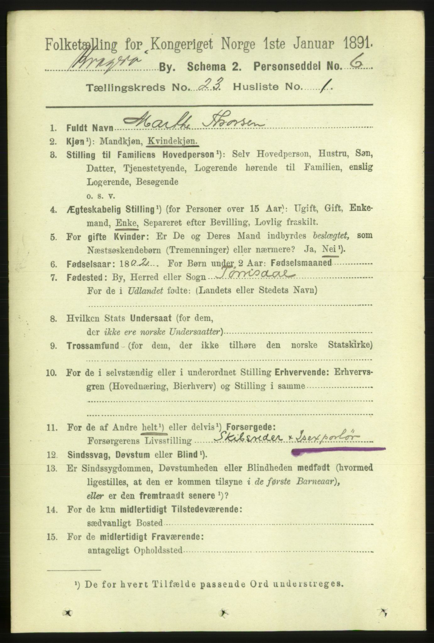 RA, 1891 census for 0801 Kragerø, 1891, p. 4883