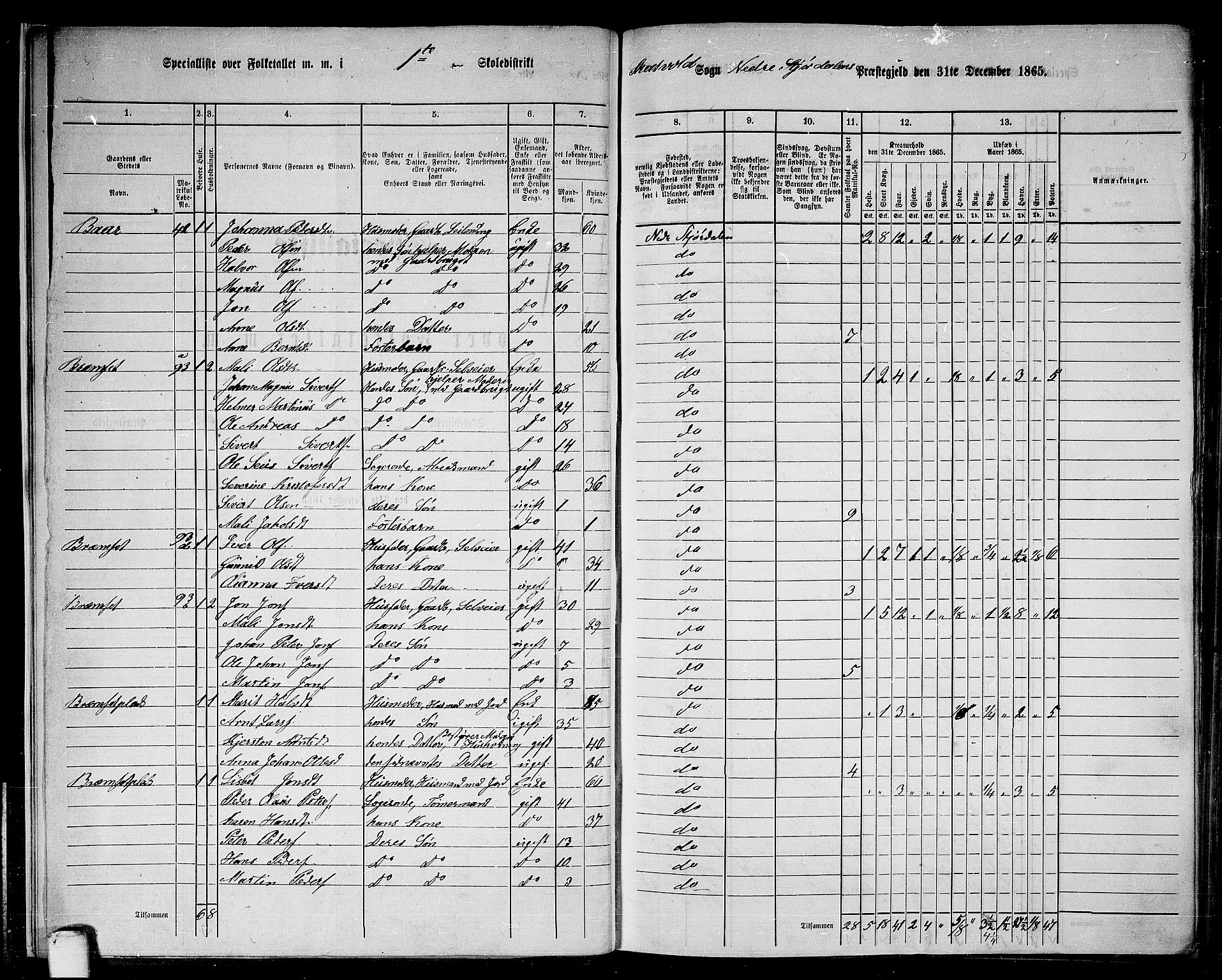 RA, 1865 census for Nedre Stjørdal, 1865, p. 15