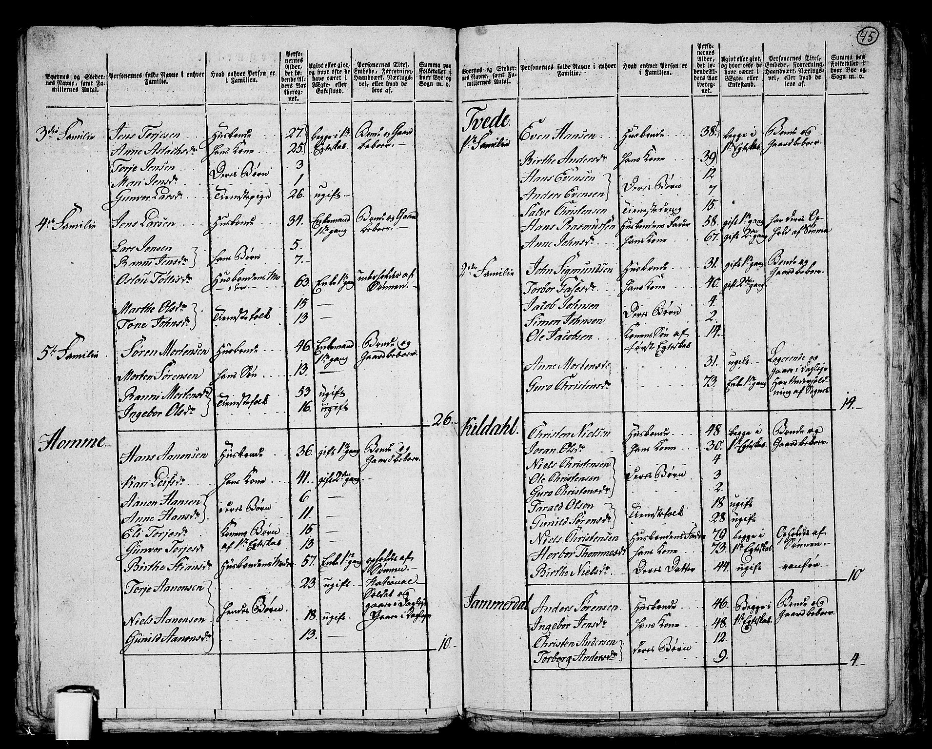 RA, 1801 census for 1012P Oddernes, 1801, p. 44b-45a