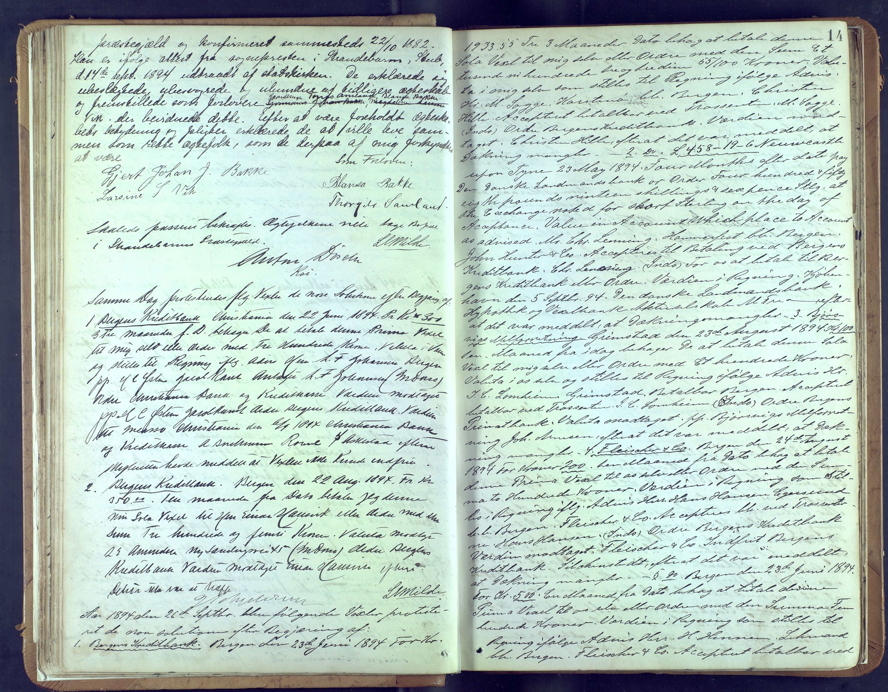 Byfogd og Byskriver i Bergen, AV/SAB-A-3401/10/10A/L0023: Notarialprotokoller, 1894-1897, p. 13b-14a