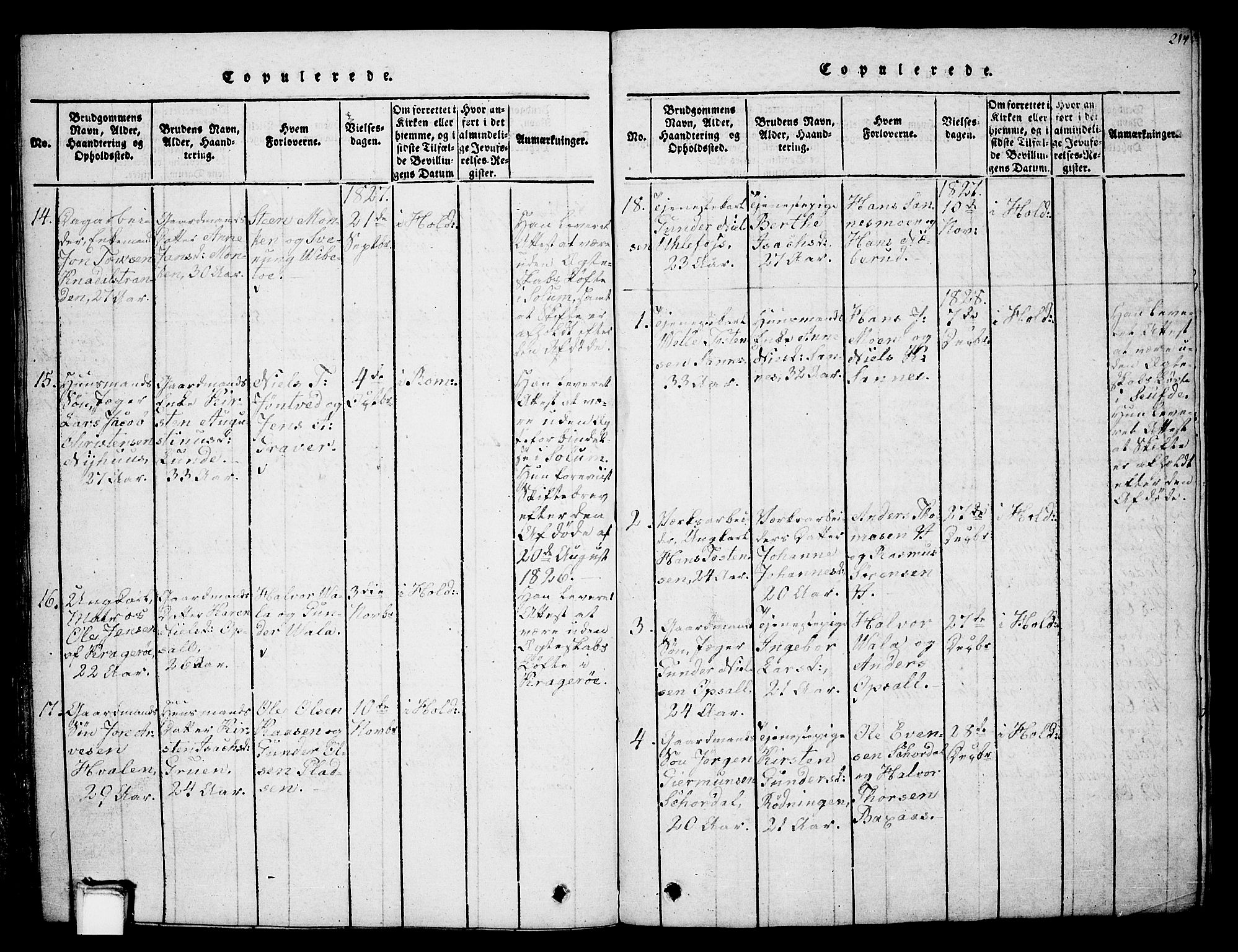 Holla kirkebøker, SAKO/A-272/G/Ga/L0001: Parish register (copy) no. I 1, 1814-1830, p. 214