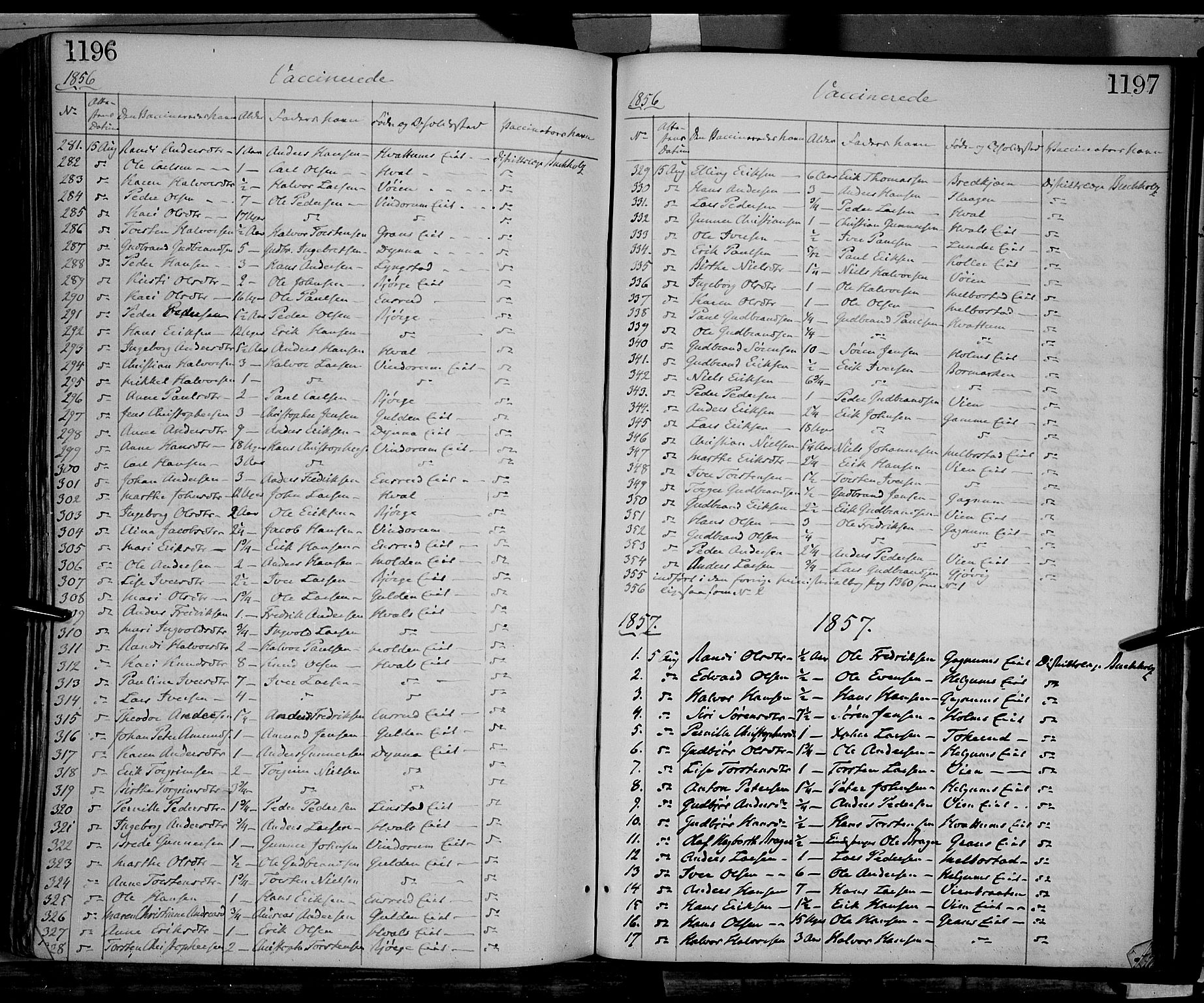 Gran prestekontor, SAH/PREST-112/H/Ha/Haa/L0012: Parish register (official) no. 12, 1856-1874, p. 1196-1197