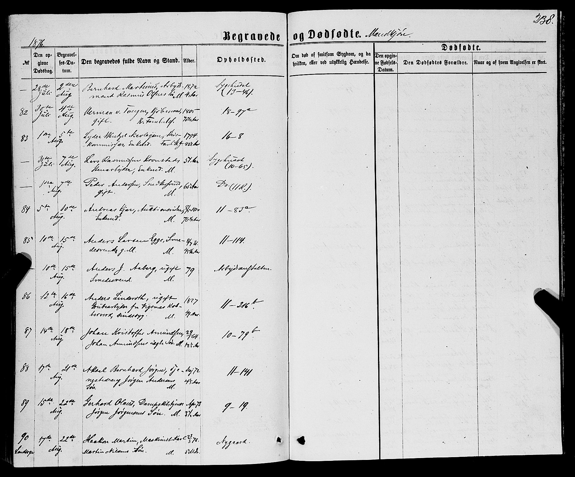 Domkirken sokneprestembete, AV/SAB-A-74801/H/Haa/L0042: Parish register (official) no. E 3, 1863-1876, p. 238