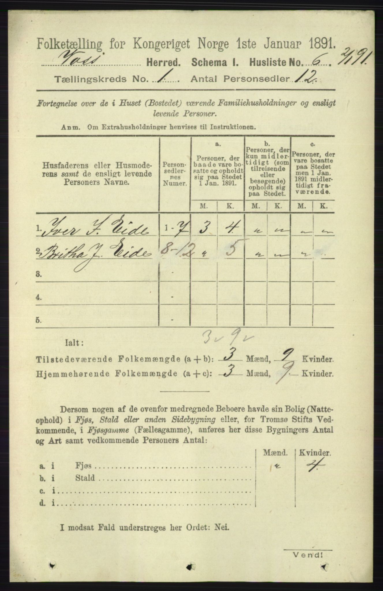 RA, 1891 census for 1235 Voss, 1891, p. 45