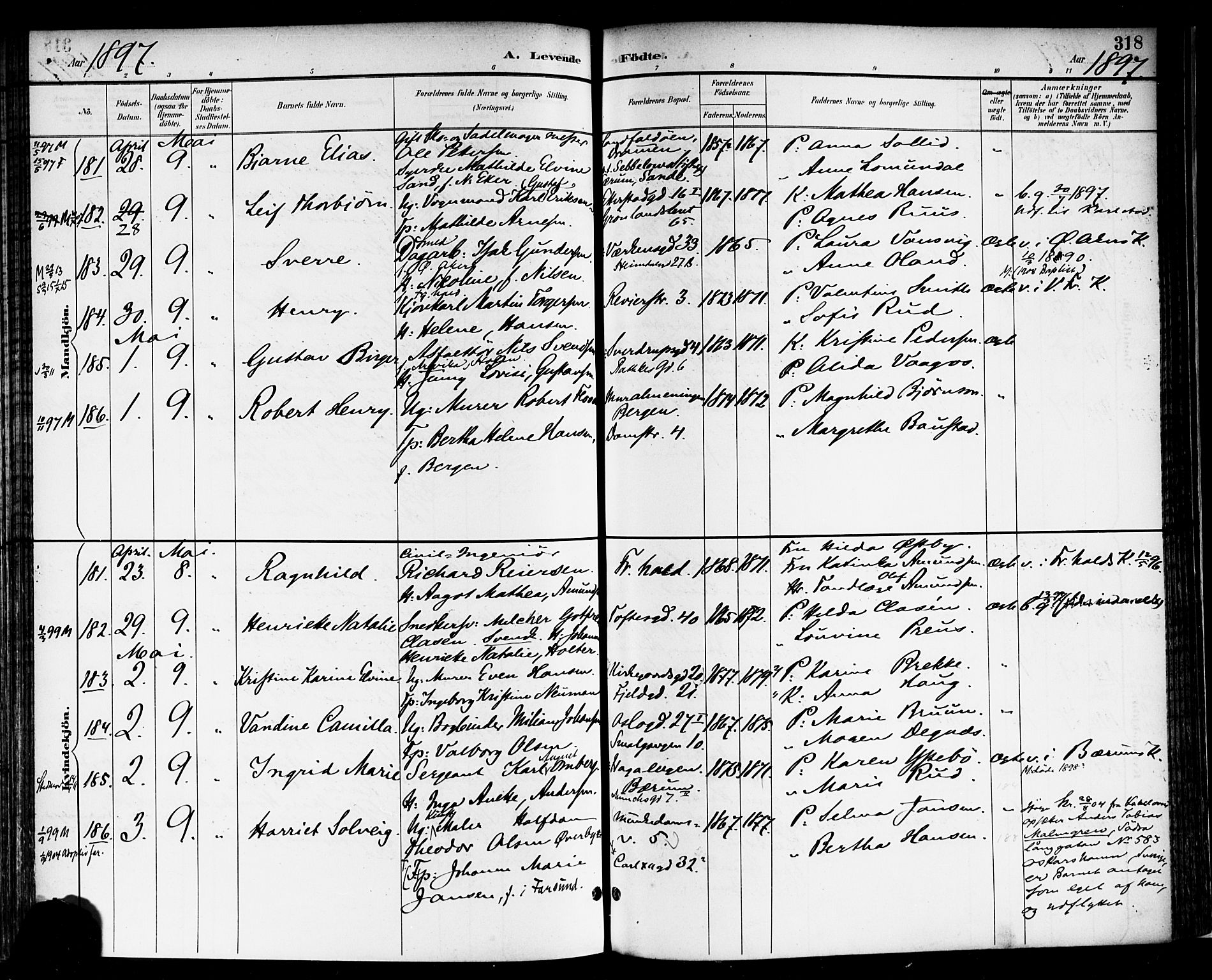 Rikshospitalet prestekontor Kirkebøker, AV/SAO-A-10309b/F/L0009: Parish register (official) no. 9, 1894-1897, p. 318
