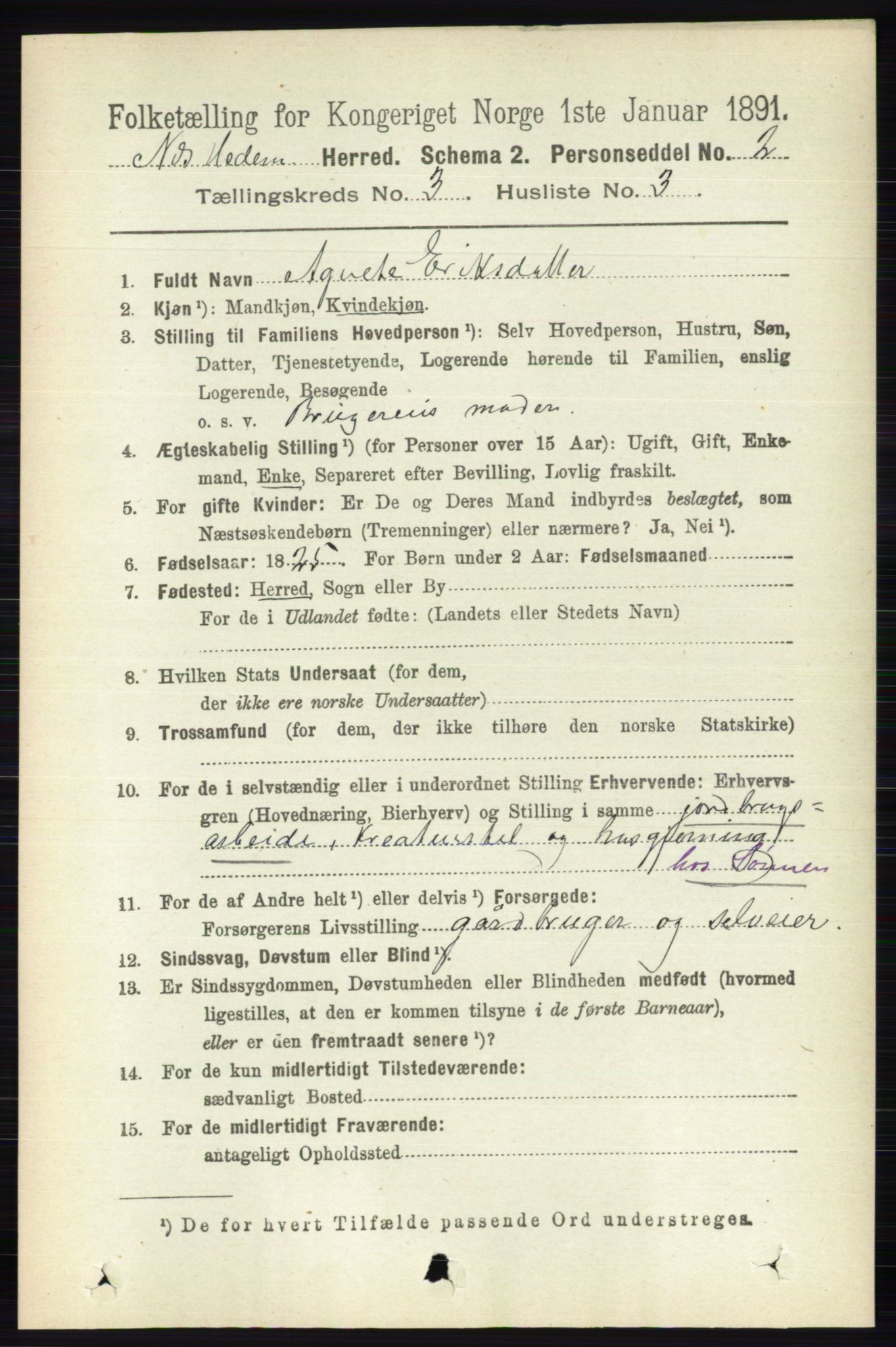 RA, 1891 census for 0411 Nes, 1891, p. 1609
