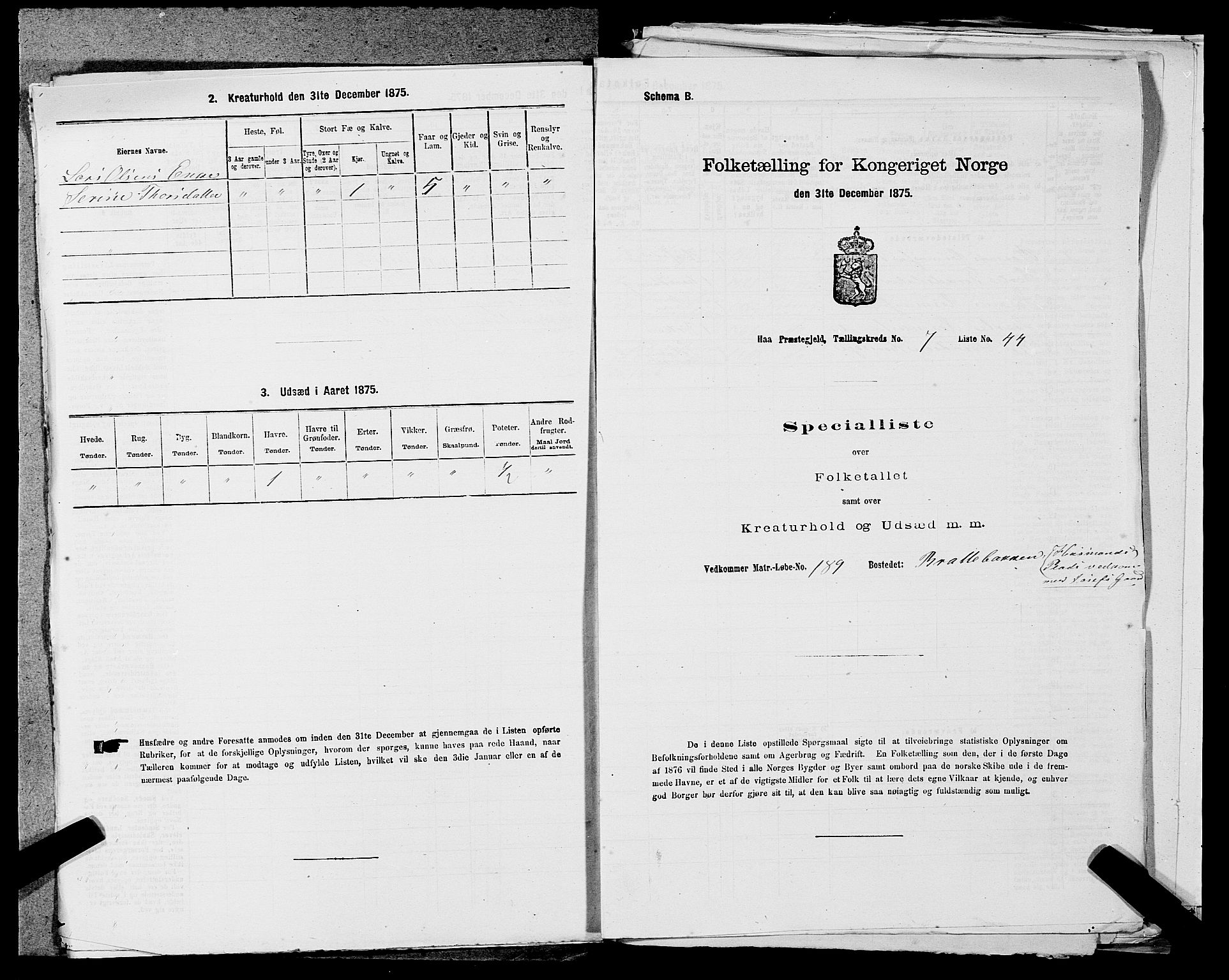 SAST, 1875 census for 1119P Hå, 1875, p. 813