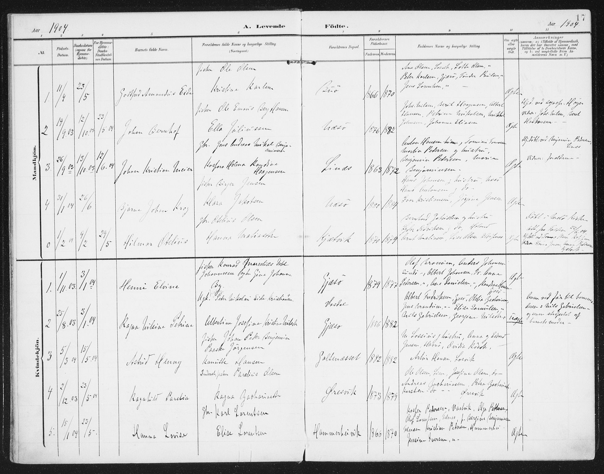 Ministerialprotokoller, klokkerbøker og fødselsregistre - Nordland, AV/SAT-A-1459/841/L0612: Parish register (official) no. 841A15, 1902-1910, p. 17