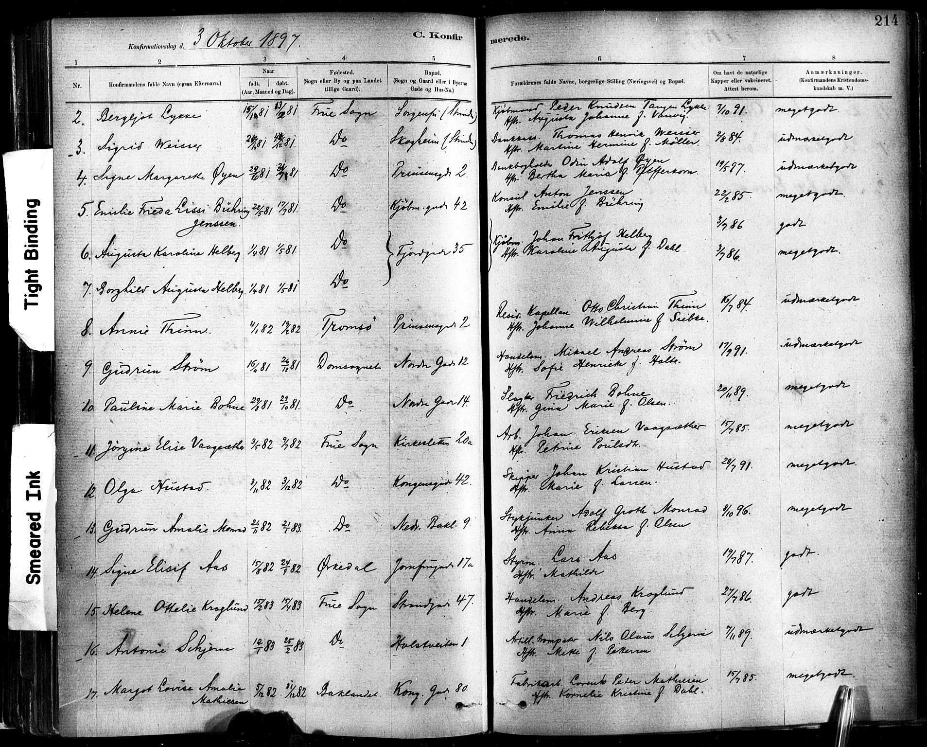 Ministerialprotokoller, klokkerbøker og fødselsregistre - Sør-Trøndelag, SAT/A-1456/602/L0119: Parish register (official) no. 602A17, 1880-1901, p. 214