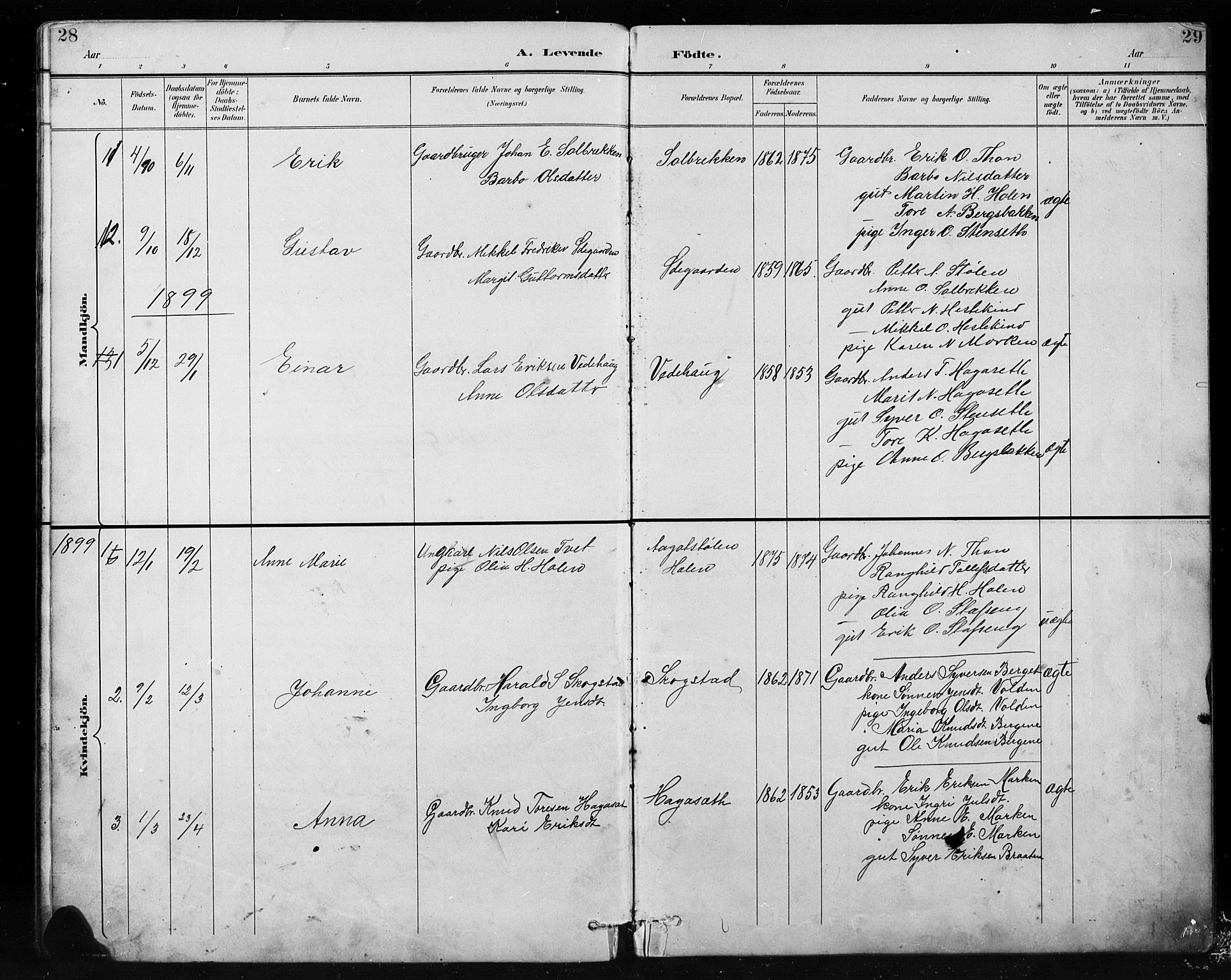 Etnedal prestekontor, SAH/PREST-130/H/Ha/Hab/Habb/L0001: Parish register (copy) no. II 1, 1894-1911, p. 28-29