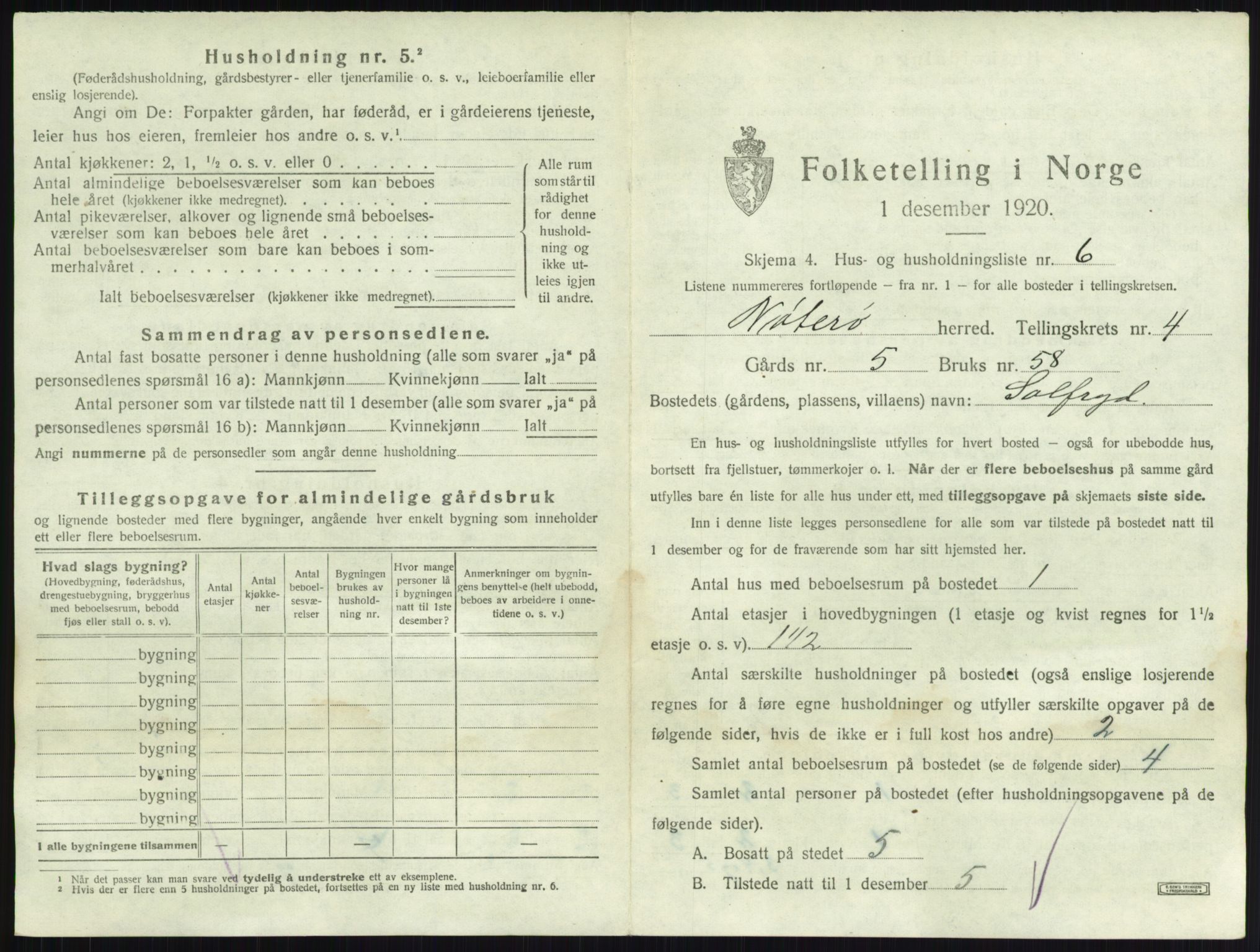 SAKO, 1920 census for Nøtterøy, 1920, p. 705