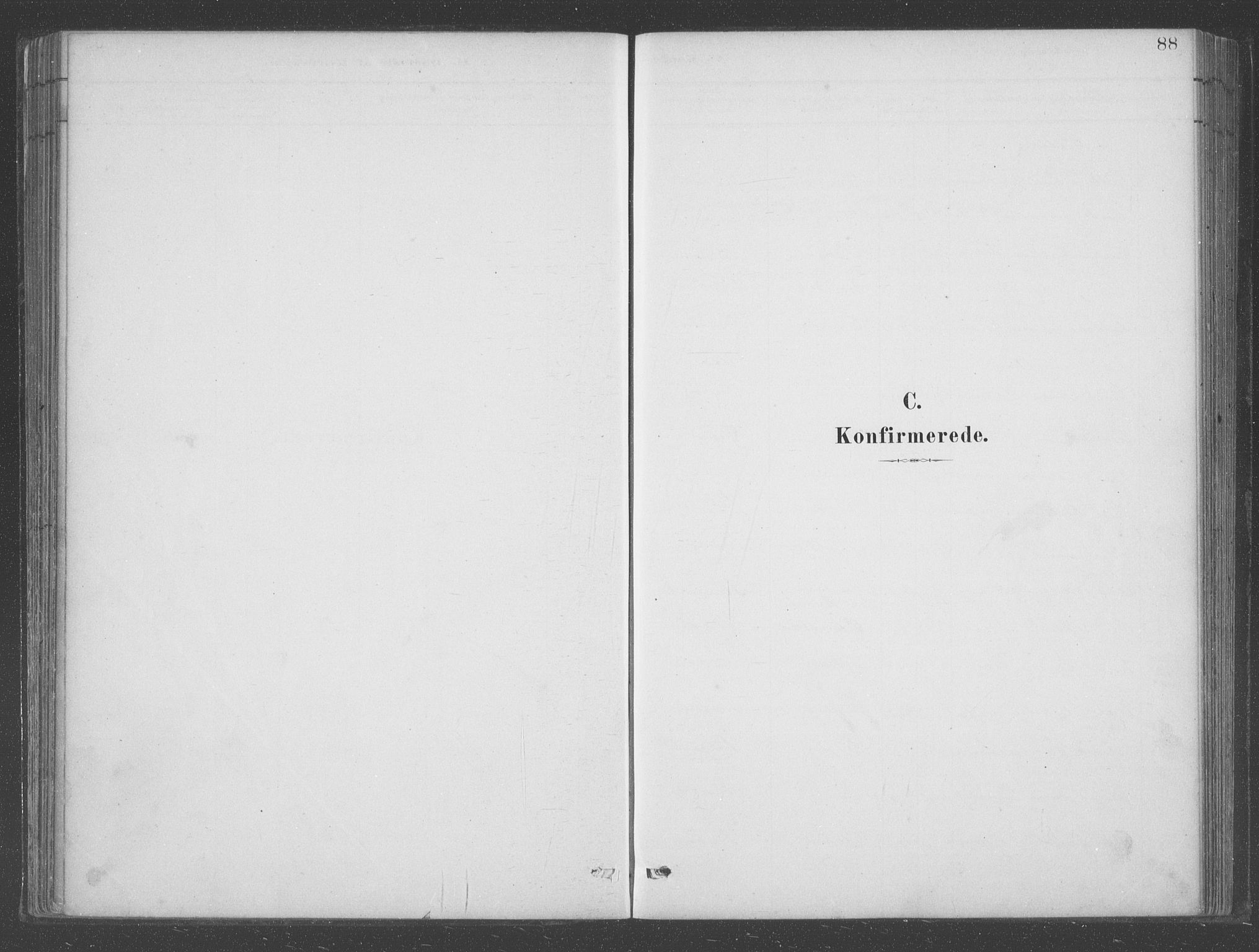 Aurland sokneprestembete, SAB/A-99937/H/Ha/Hab/L0001: Parish register (official) no. B  1, 1880-1909, p. 88