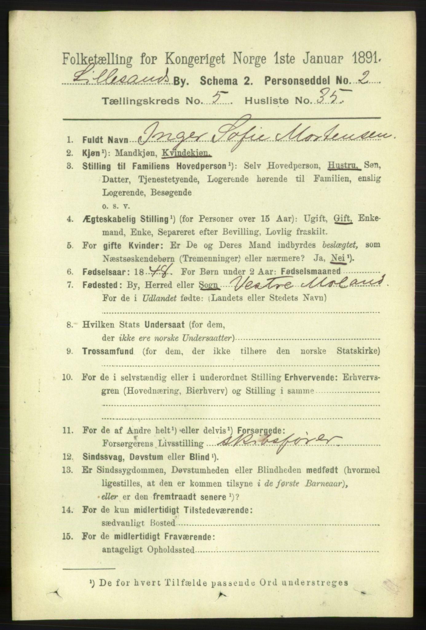 RA, 1891 census for 0905 Lillesand, 1891, p. 1604