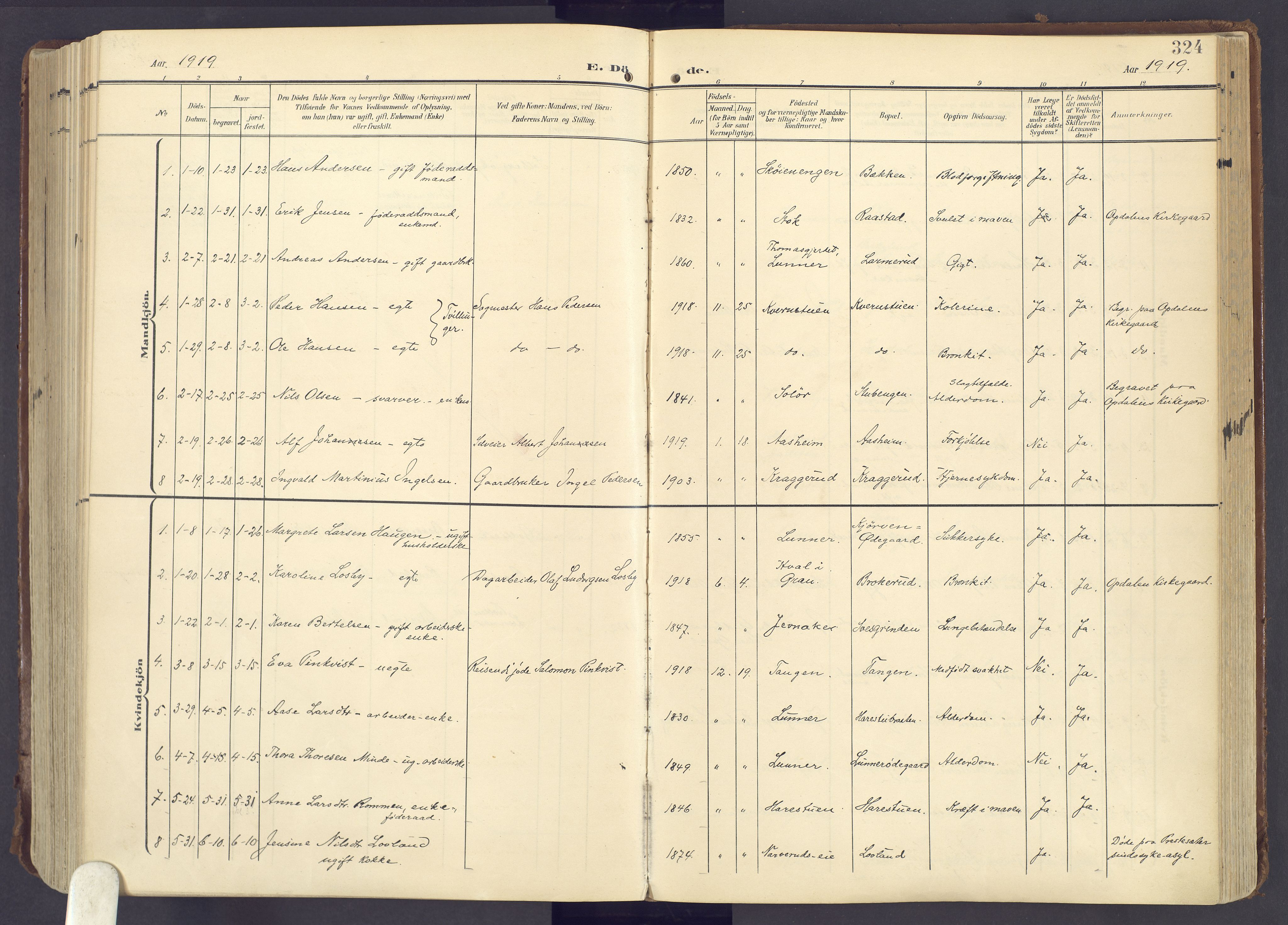 Lunner prestekontor, SAH/PREST-118/H/Ha/Haa/L0001: Parish register (official) no. 1, 1907-1922, p. 324