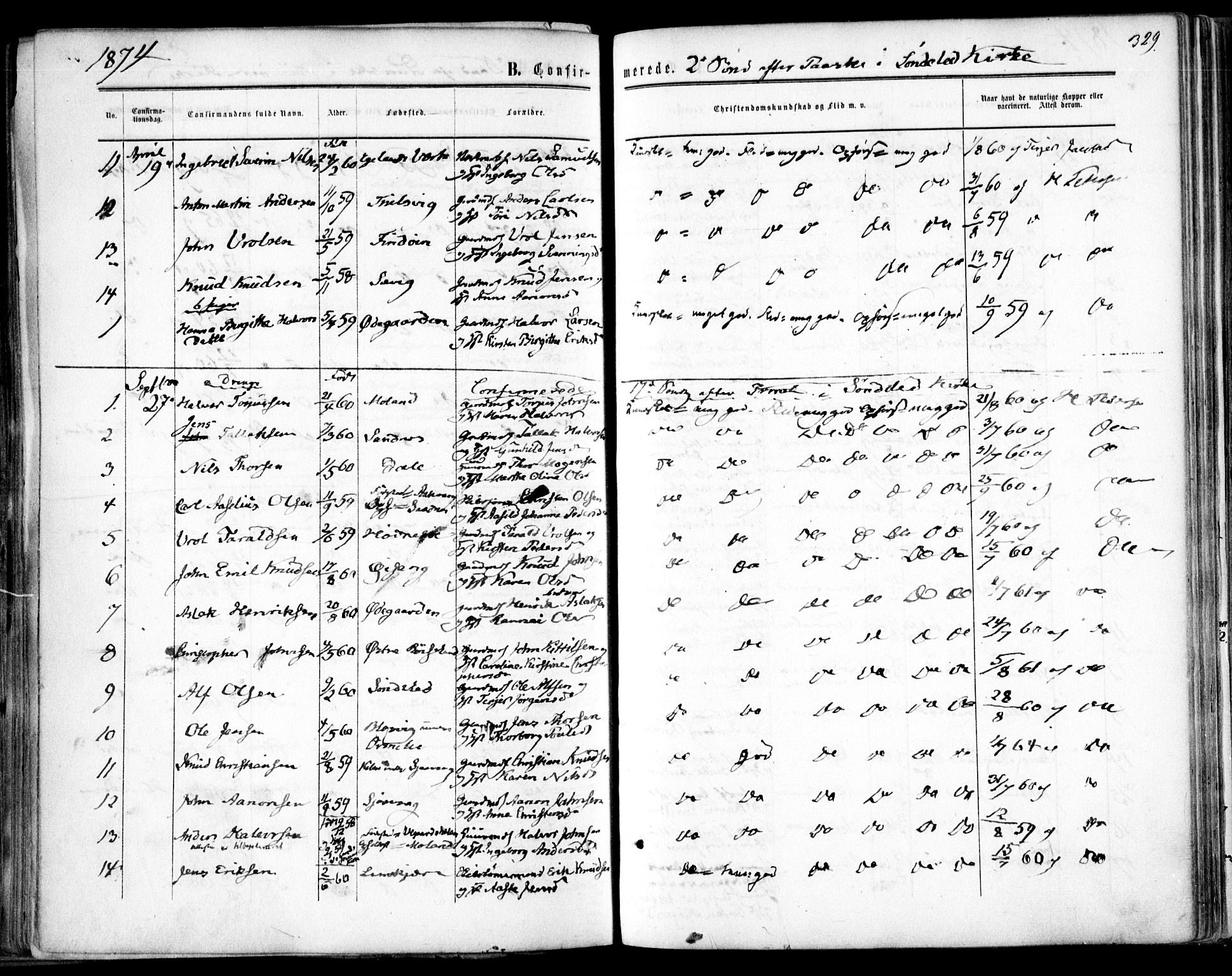 Søndeled sokneprestkontor, AV/SAK-1111-0038/F/Fa/L0003: Parish register (official) no. A 3, 1861-1879, p. 329