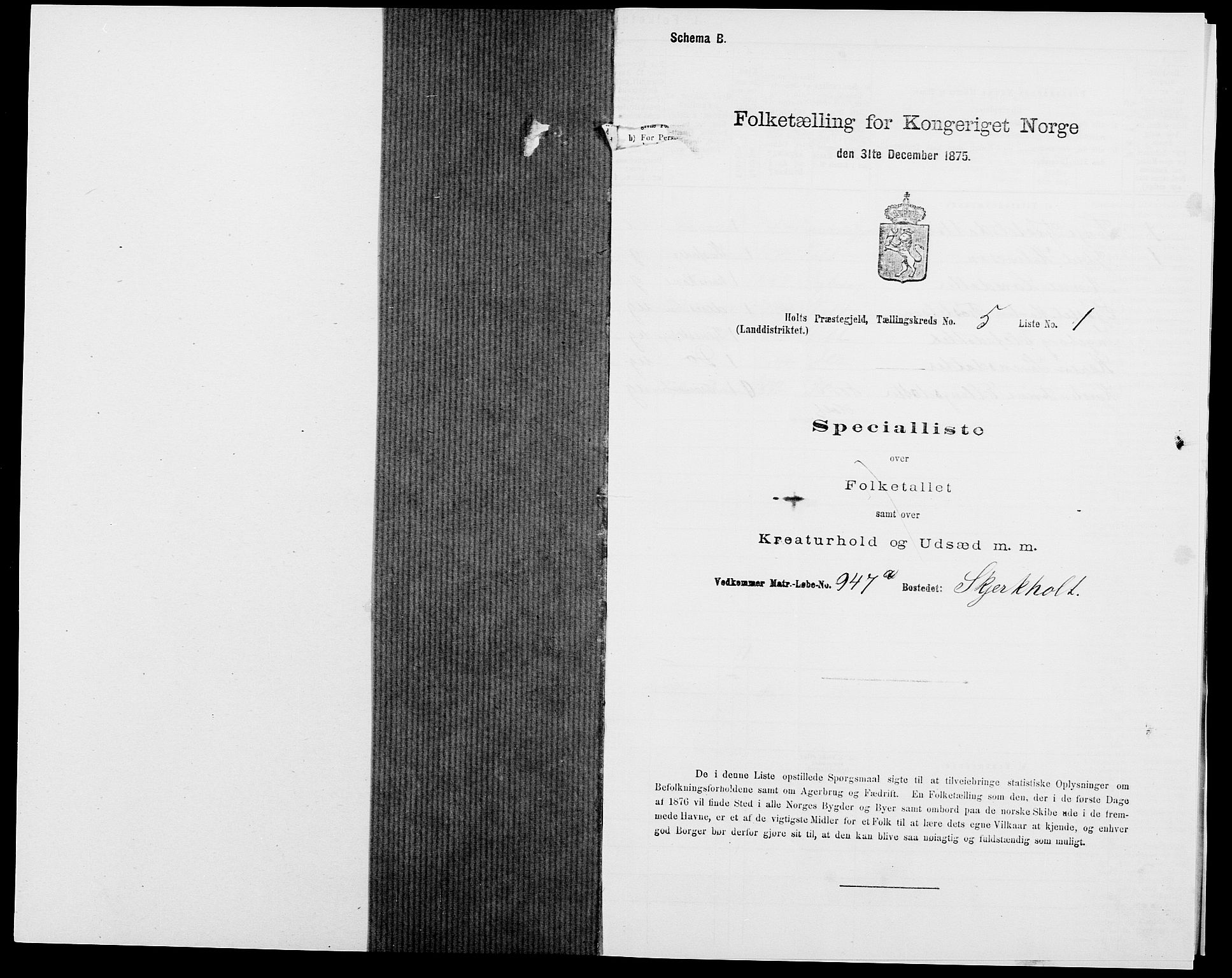 SAK, 1875 census for 0914L Holt/Holt, 1875, p. 531