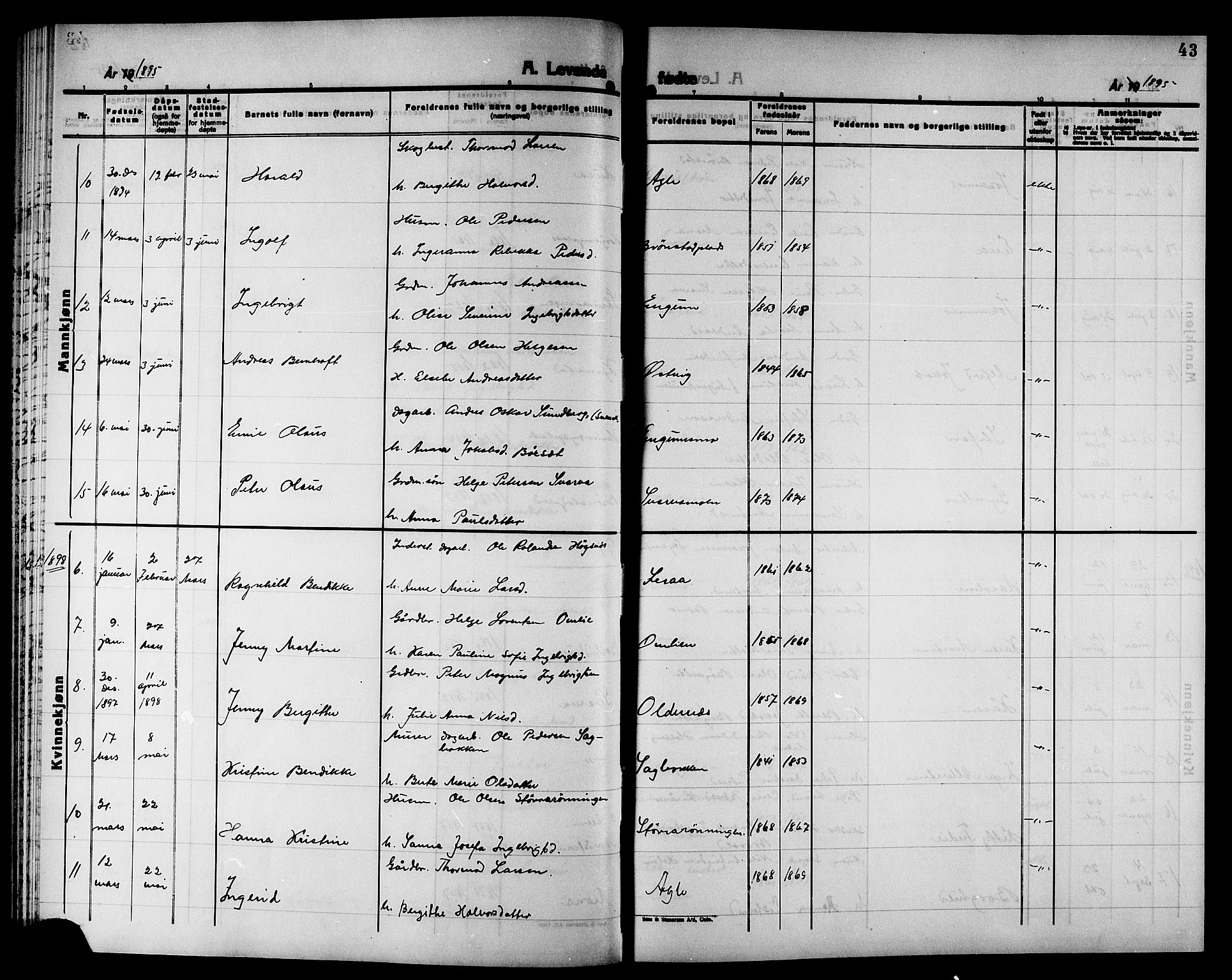 Ministerialprotokoller, klokkerbøker og fødselsregistre - Nord-Trøndelag, AV/SAT-A-1458/749/L0487: Parish register (official) no. 749D03, 1887-1902, p. 43