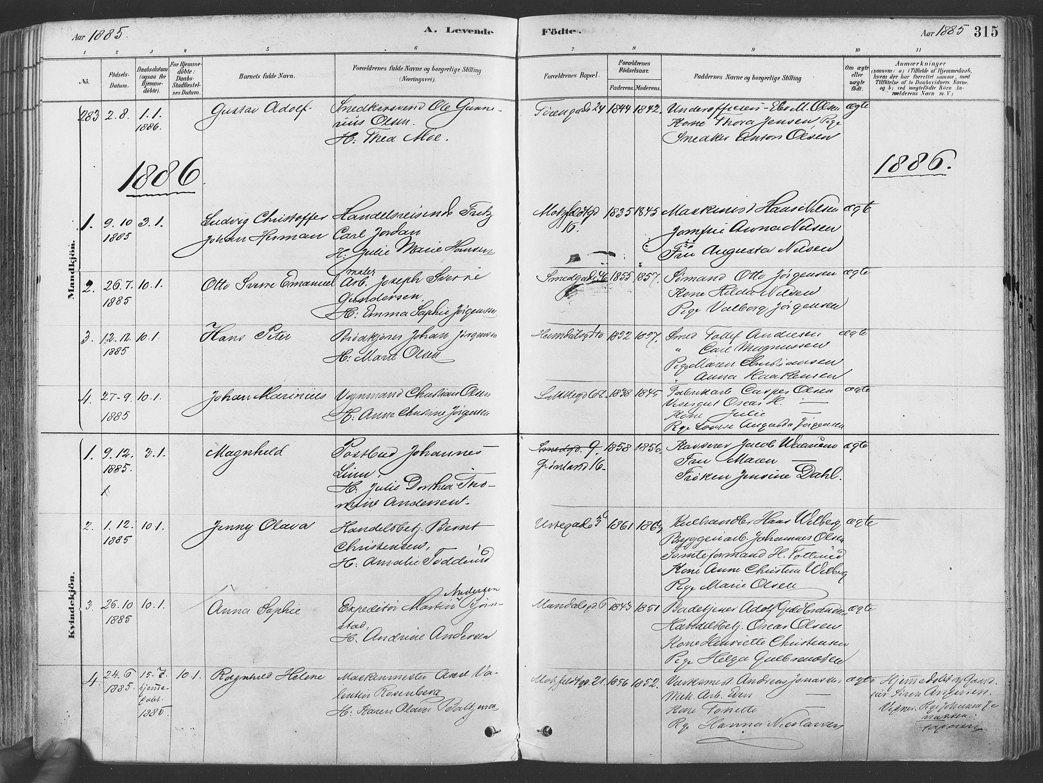 Grønland prestekontor Kirkebøker, SAO/A-10848/F/Fa/L0007: Parish register (official) no. 7, 1878-1888, p. 315