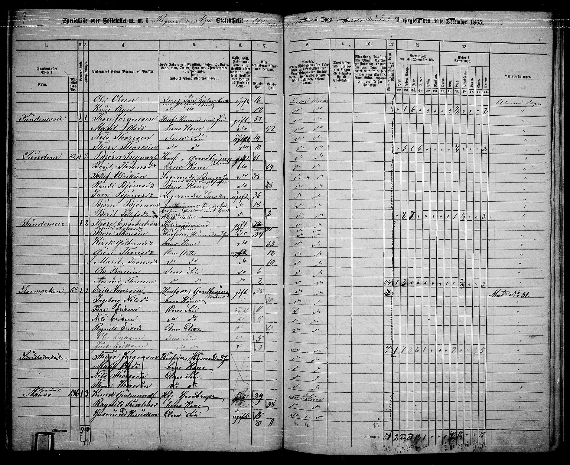 RA, 1865 census for Nord-Aurdal, 1865, p. 140