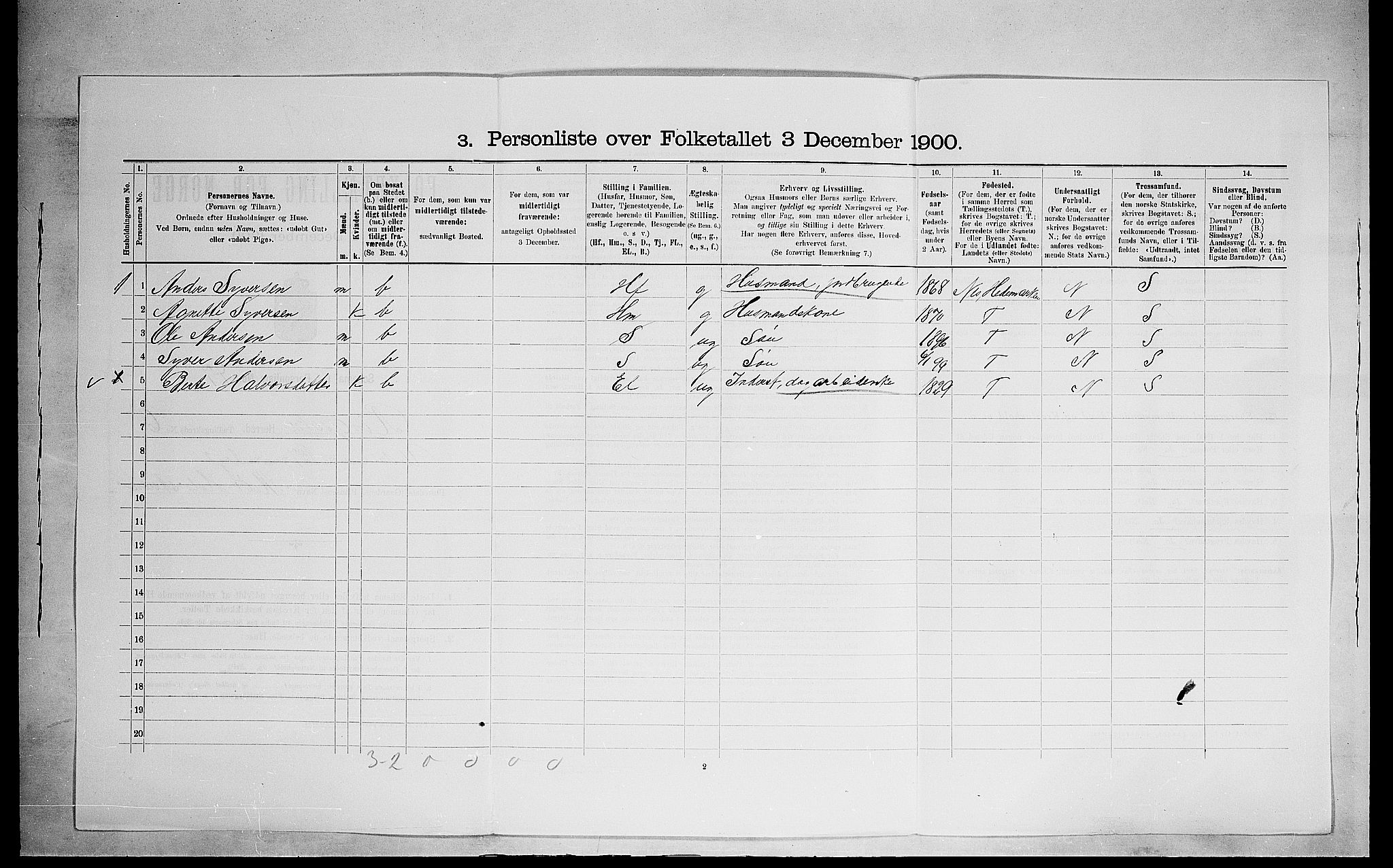 SAH, 1900 census for Ringsaker, 1900, p. 1317