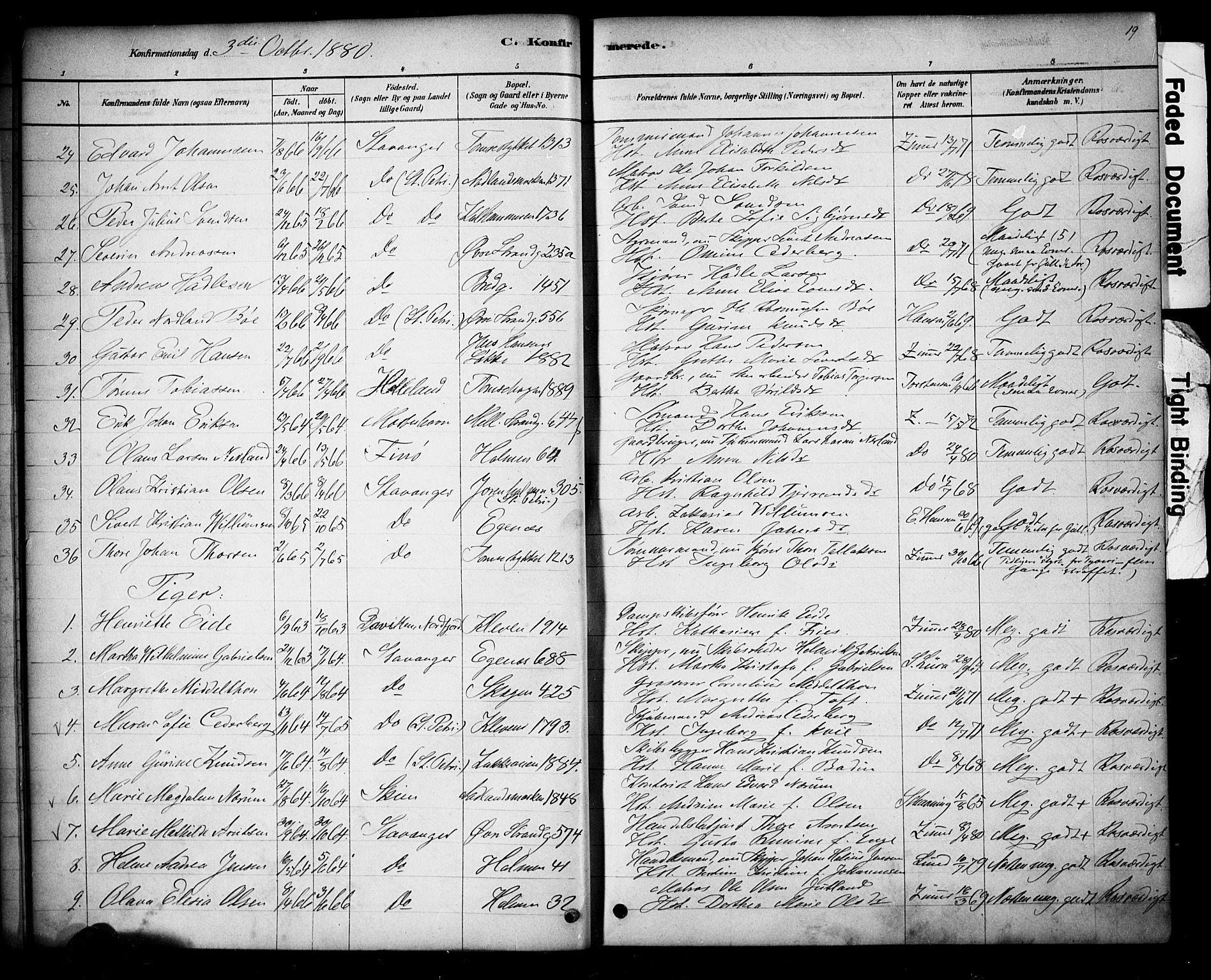 Domkirken sokneprestkontor, SAST/A-101812/001/30/30BA/L0028: Parish register (official) no. A 27, 1878-1896, p. 19