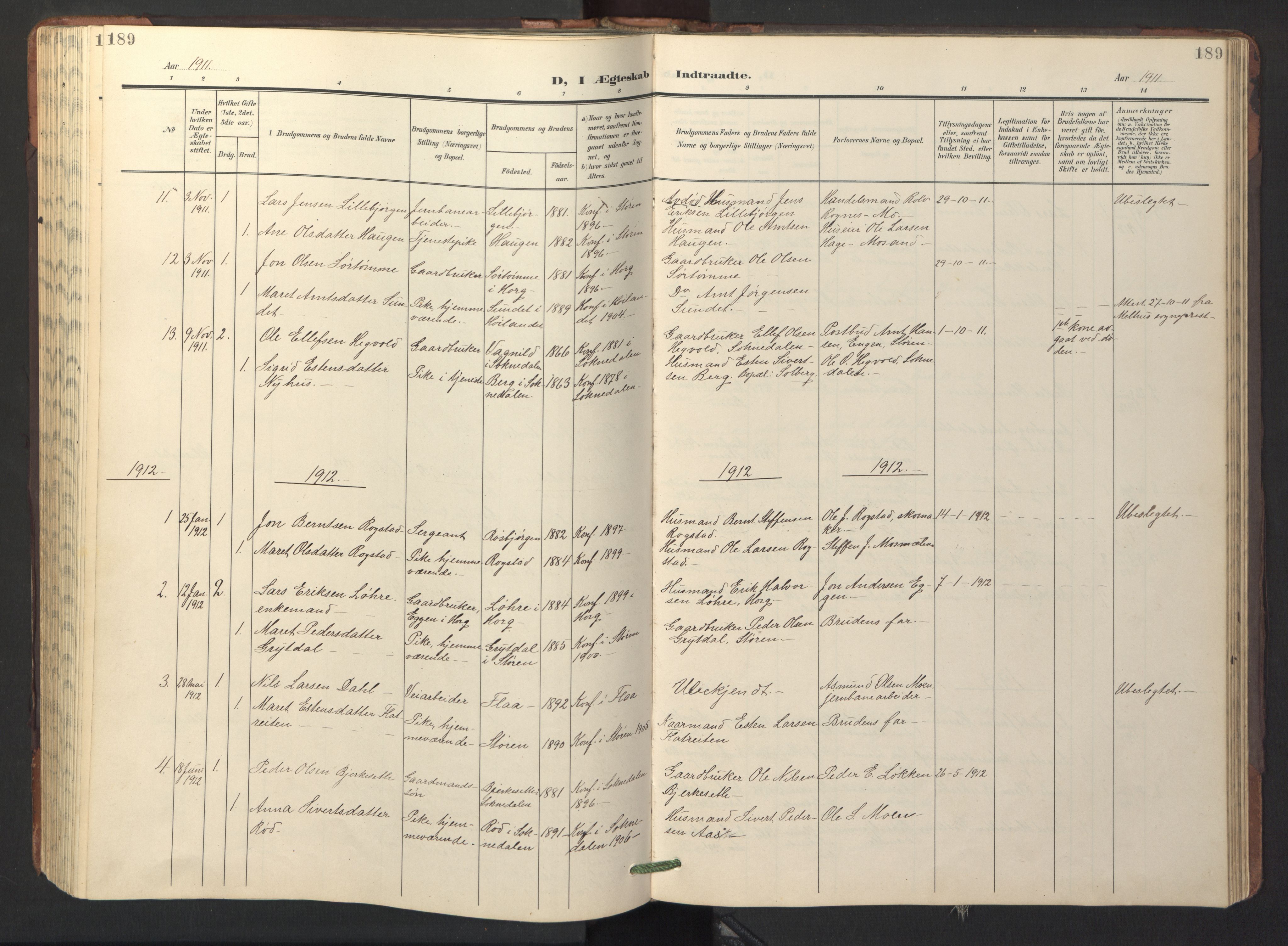 Ministerialprotokoller, klokkerbøker og fødselsregistre - Sør-Trøndelag, SAT/A-1456/687/L1019: Parish register (copy) no. 687C03, 1904-1931, p. 189