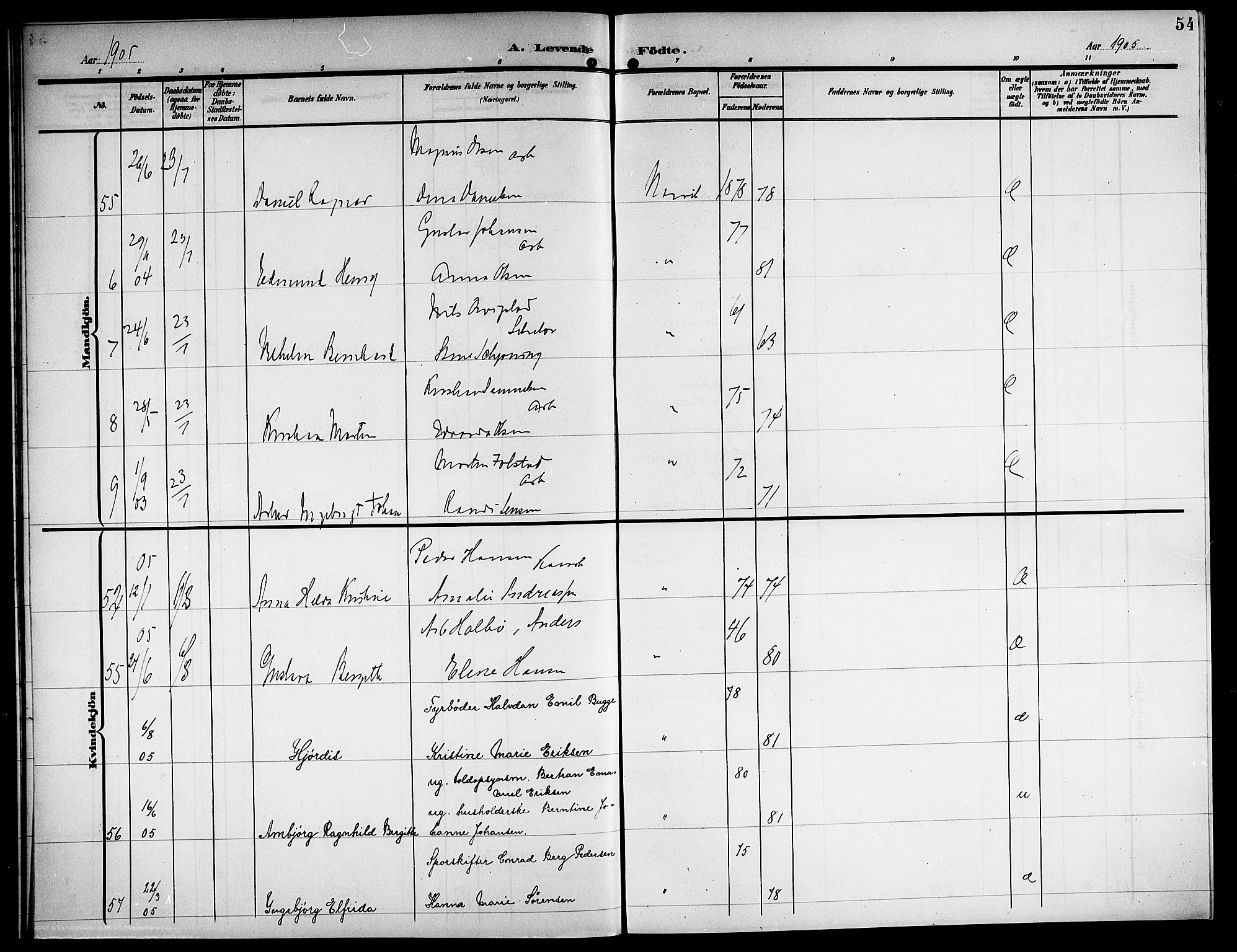 Ministerialprotokoller, klokkerbøker og fødselsregistre - Nordland, AV/SAT-A-1459/871/L1012: Parish register (copy) no. 871C01, 1902-1909, p. 54