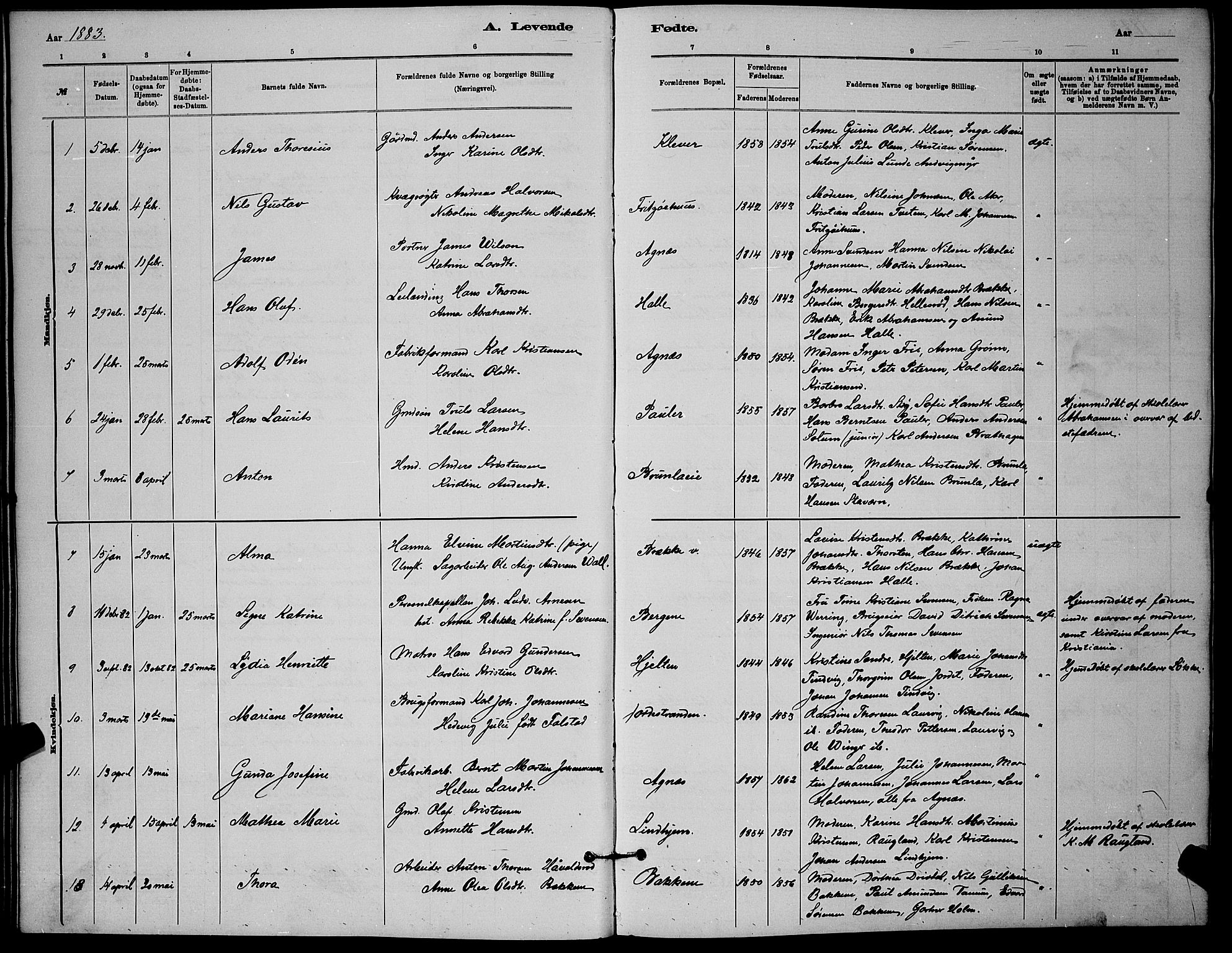 Brunlanes kirkebøker, SAKO/A-342/G/Ga/L0003: Parish register (copy) no. I 3, 1877-1898