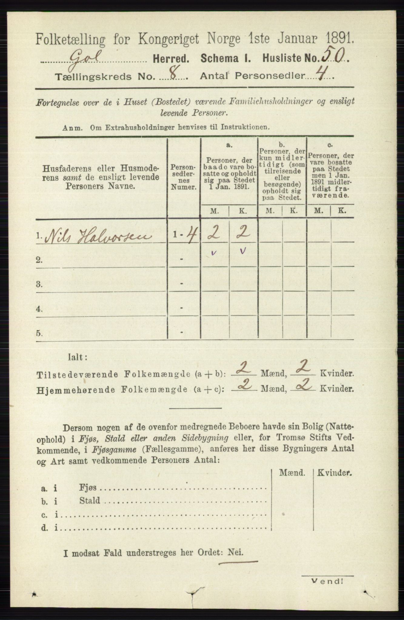 RA, 1891 census for 0617 Gol og Hemsedal, 1891, p. 3031