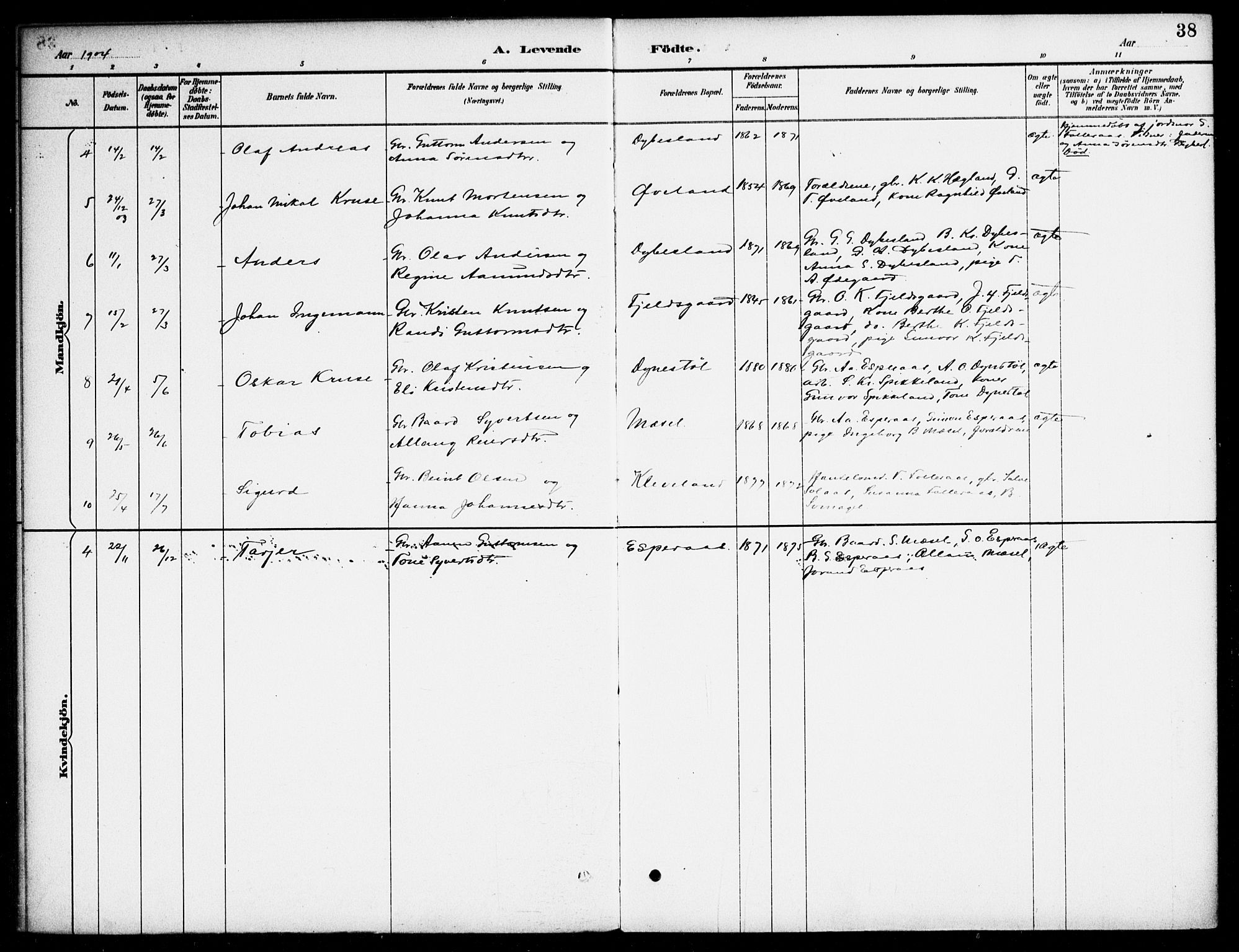 Bjelland sokneprestkontor, AV/SAK-1111-0005/F/Fa/Fab/L0004: Parish register (official) no. A 4, 1887-1920, p. 38