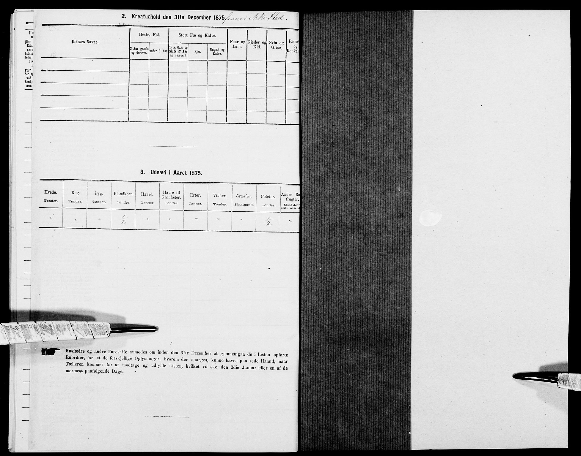 SAK, 1875 census for 1020P Holum, 1875, p. 1110