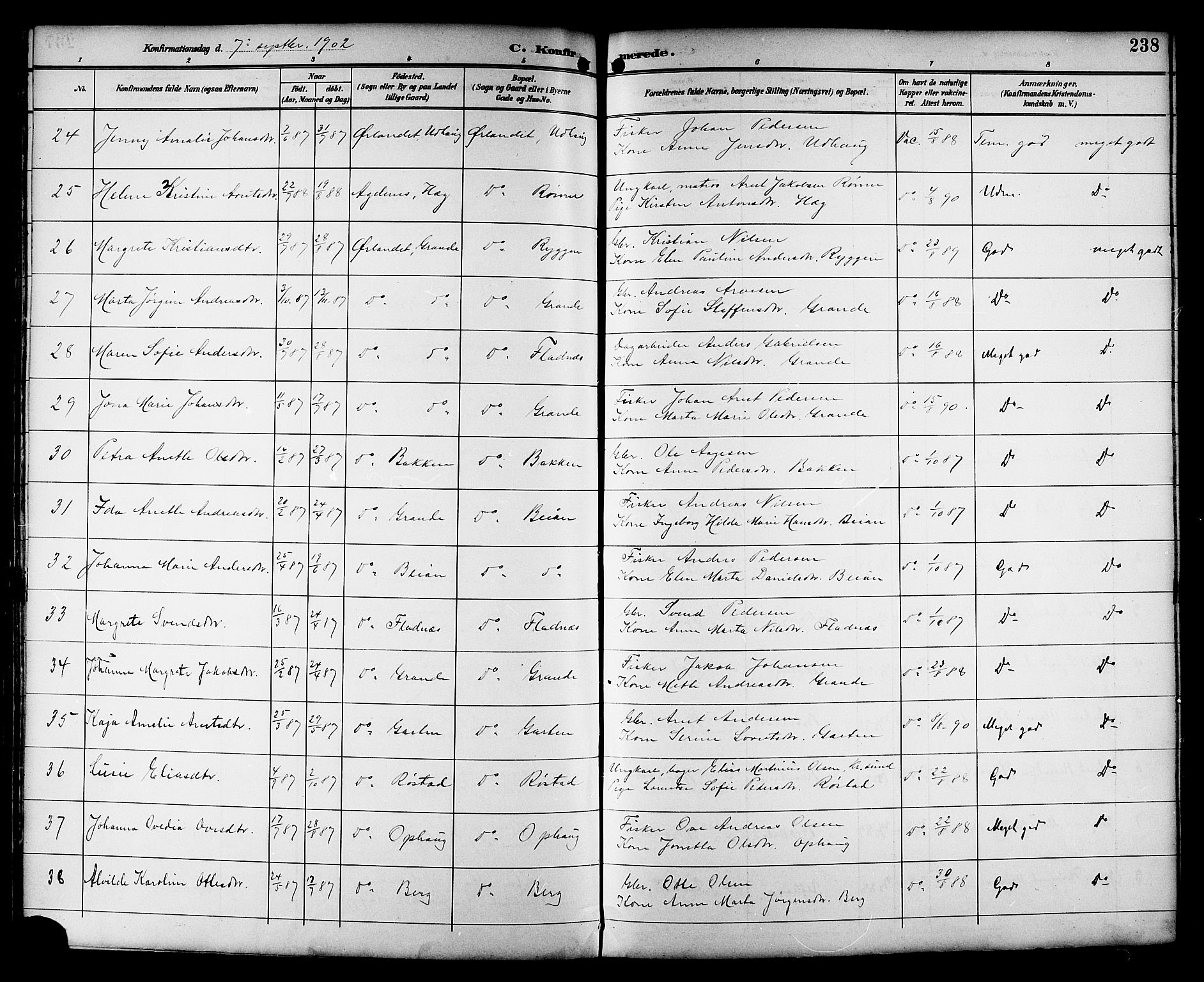 Ministerialprotokoller, klokkerbøker og fødselsregistre - Sør-Trøndelag, AV/SAT-A-1456/659/L0746: Parish register (copy) no. 659C03, 1893-1912, p. 238