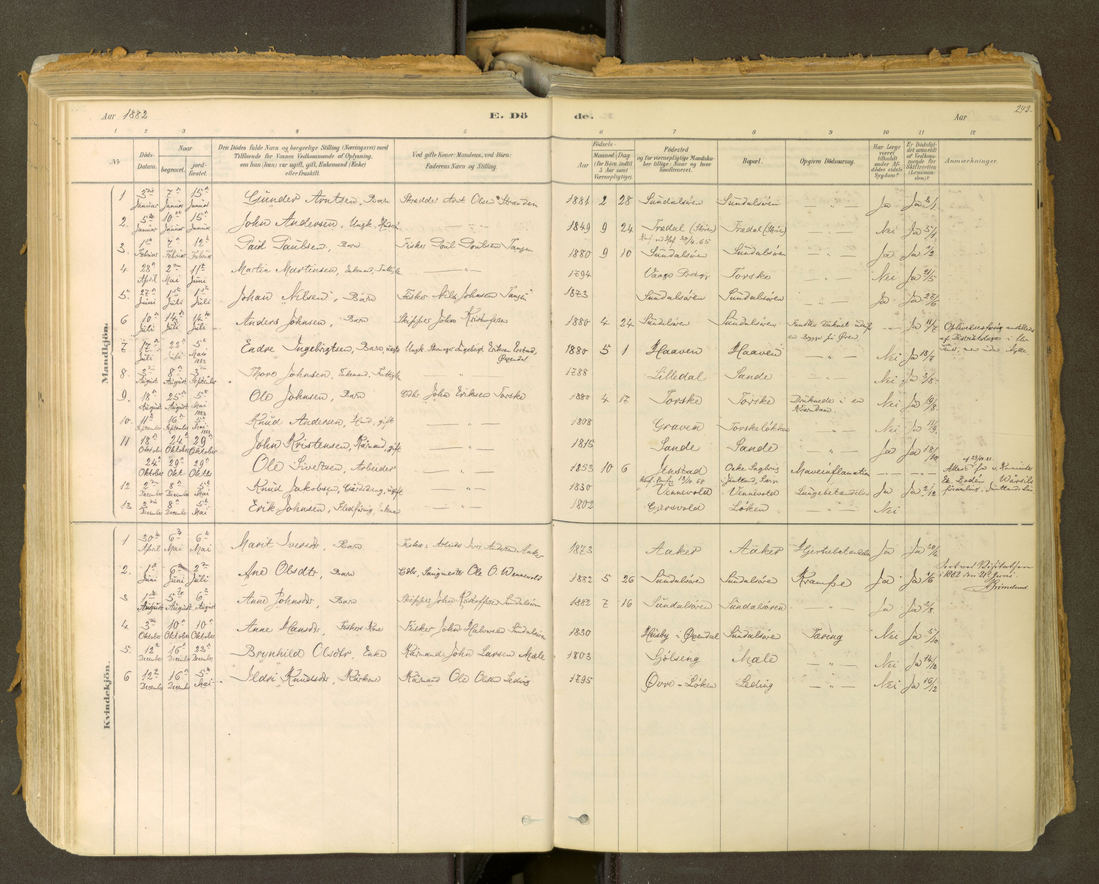 Sunndal sokneprestkontor, SAT/A-1085/1/I/I1/I1a: Parish register (official) no. 2, 1877-1914, p. 243