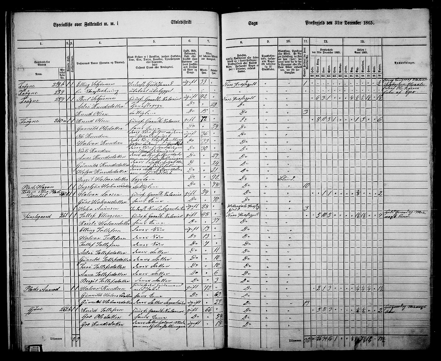 RA, 1865 census for Nore, 1865, p. 26