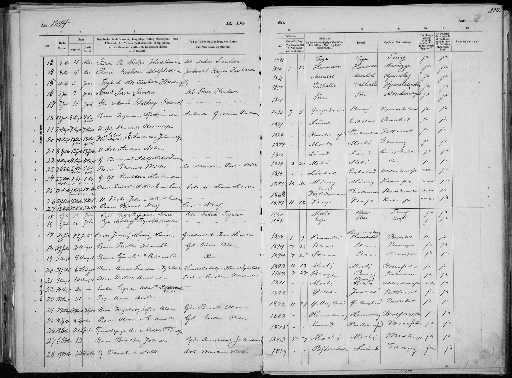 Oddernes sokneprestkontor, SAK/1111-0033/F/Fa/Faa/L0009: Parish register (official) no. A 9, 1884-1896, p. 250