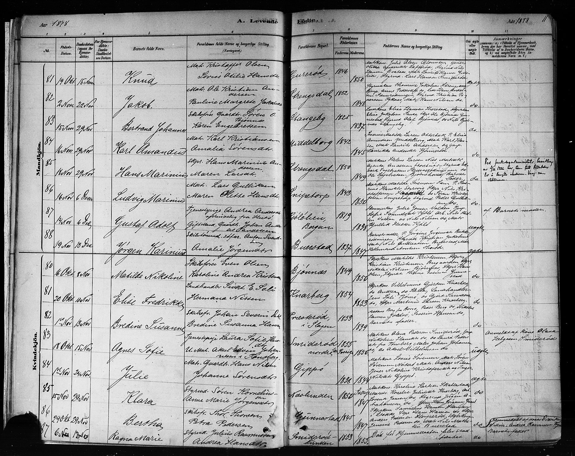 Nøtterøy kirkebøker, AV/SAKO-A-354/F/Fa/L0008: Parish register (official) no. I 8, 1878-1893, p. 11