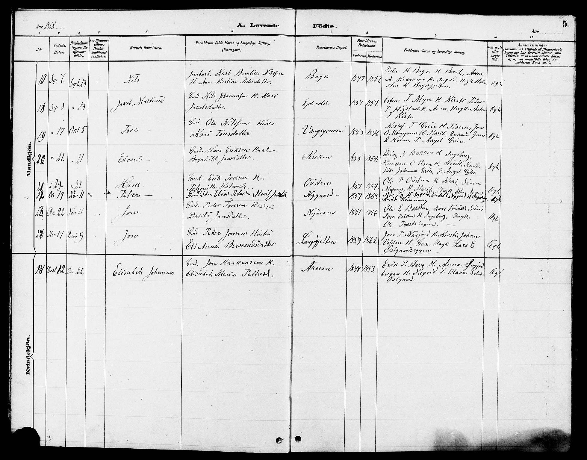 Tolga prestekontor, AV/SAH-PREST-062/L/L0008: Parish register (copy) no. 8, 1887-1912, p. 5